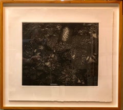 Mezzotint Etching Botanical Print 'Mantle' Signed AP Jungle Image