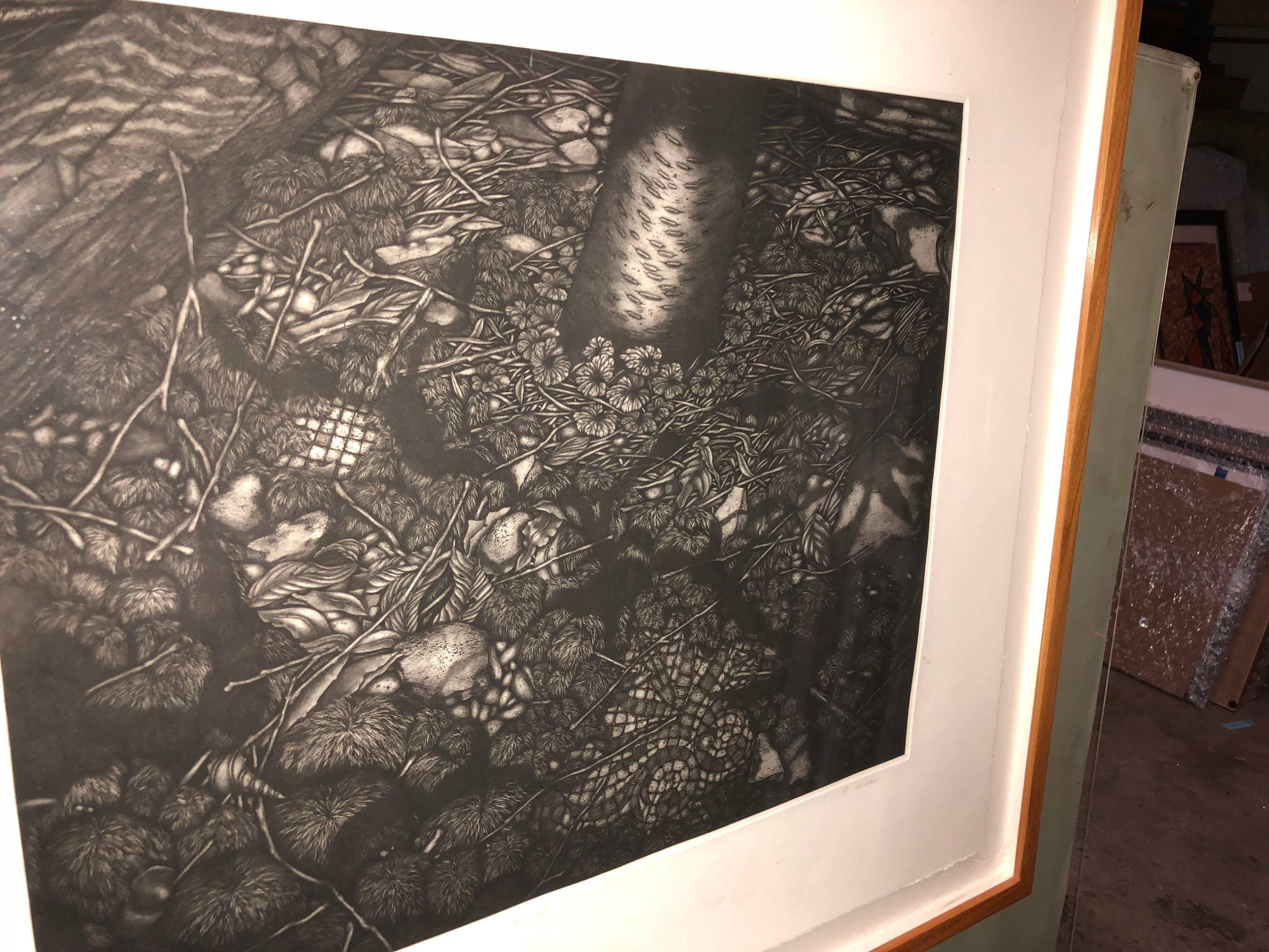 Mezzotint Etching Botanical Print 'Mantle' Signed AP Jungle Image For Sale 5