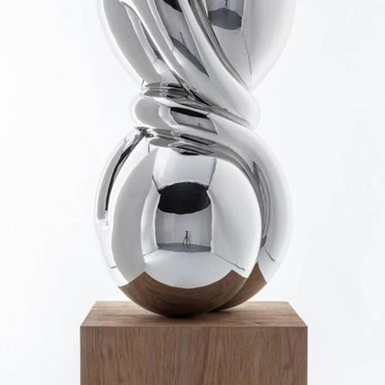 Twisted - Gray Abstract Sculpture by Richard Hudson