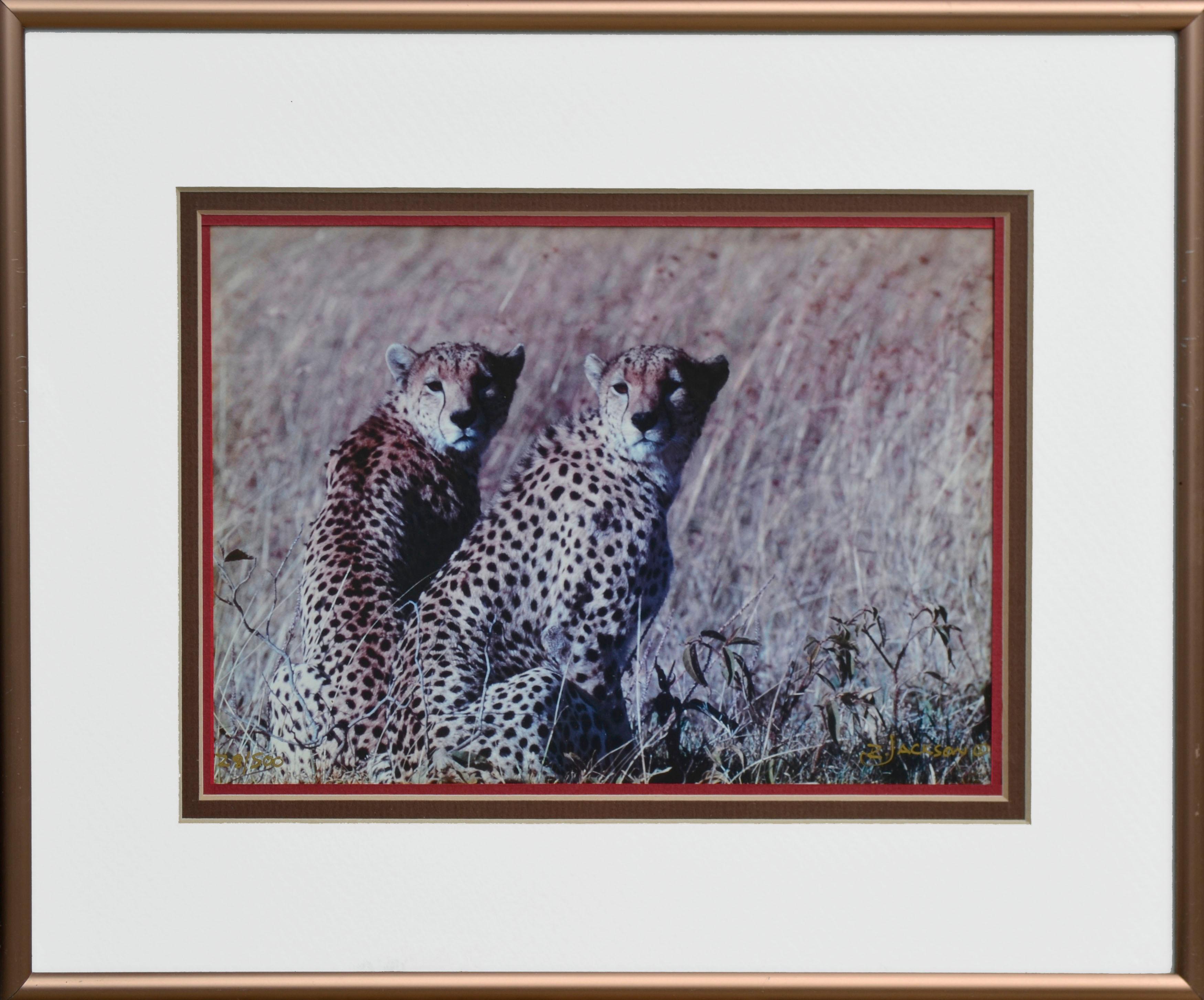 Richard Jackson Figurative Photograph - Two Cheetahs - Masi Mara, Kenya 