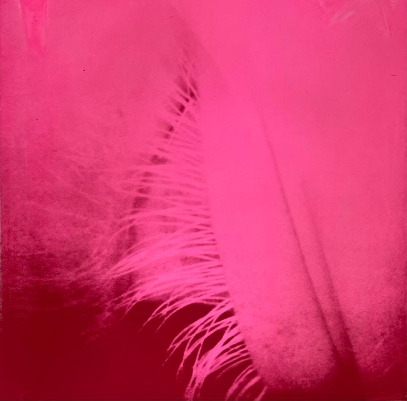 Richard Klein Portrait Print - Eyelashes
