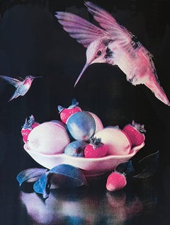 Colibrì