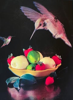 Colibrì