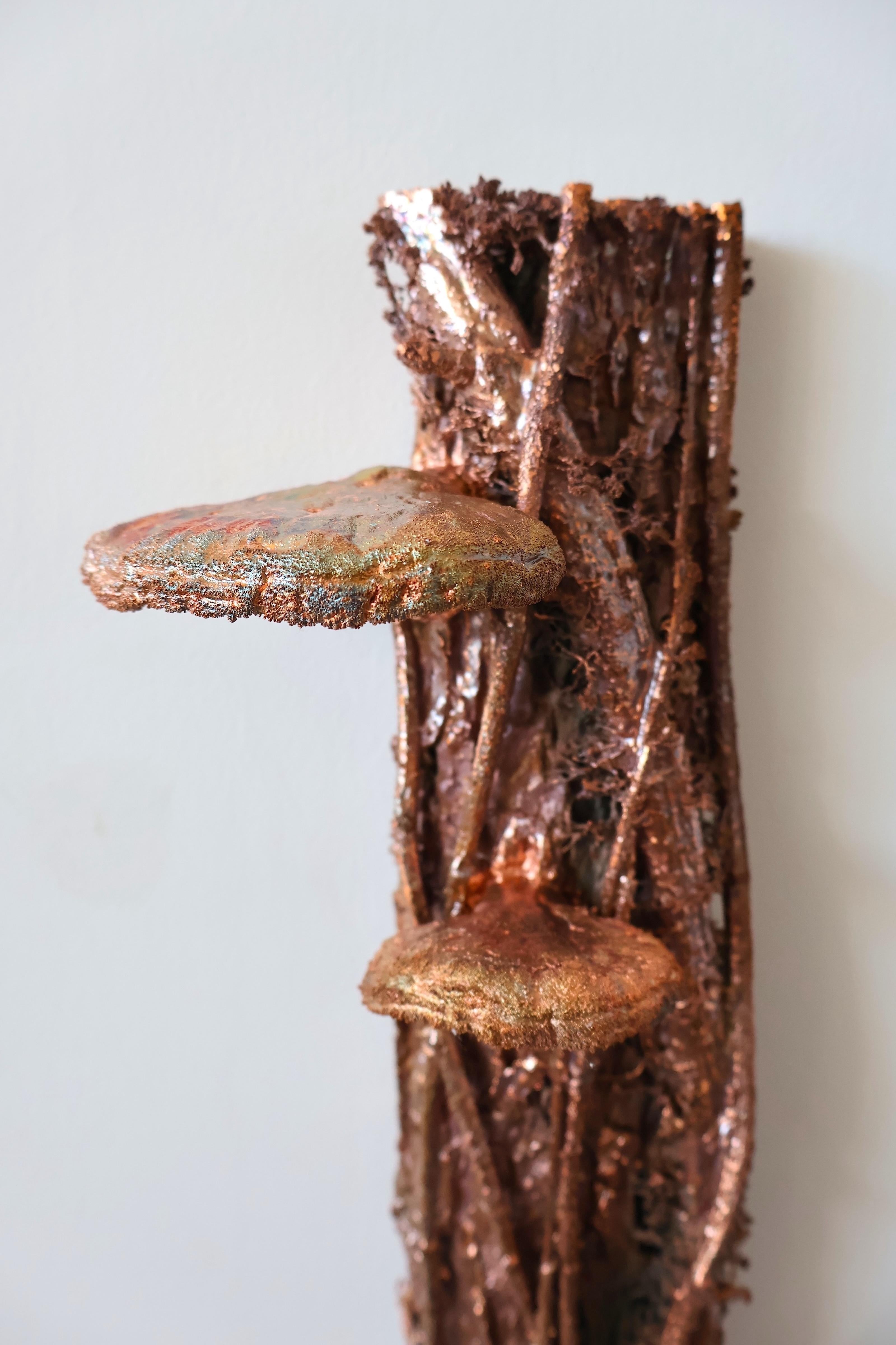 American Elm - Tree Mushrooms Vine Copper Wire Wall Mounted Sculpture, 2024 For Sale 11
