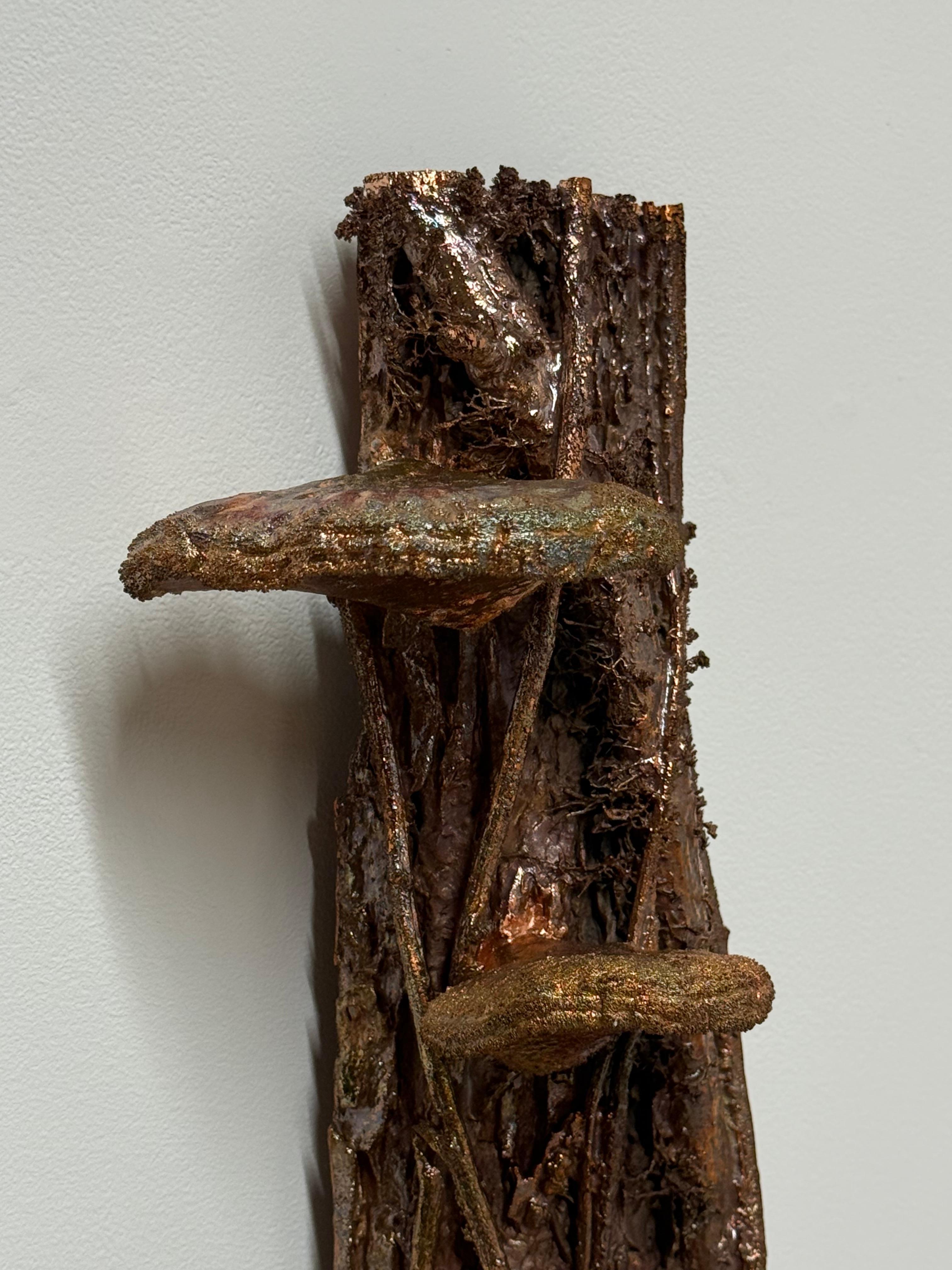 American Elm - Tree Mushrooms Vine Copper Wire Wall Mounted Sculpture, 2024 For Sale 2