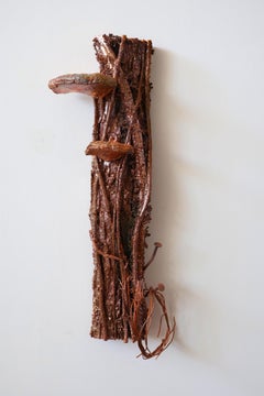 American Elm - Tree Mushrooms Vine Copper Wire Wall Mounted Sculpture, 2024