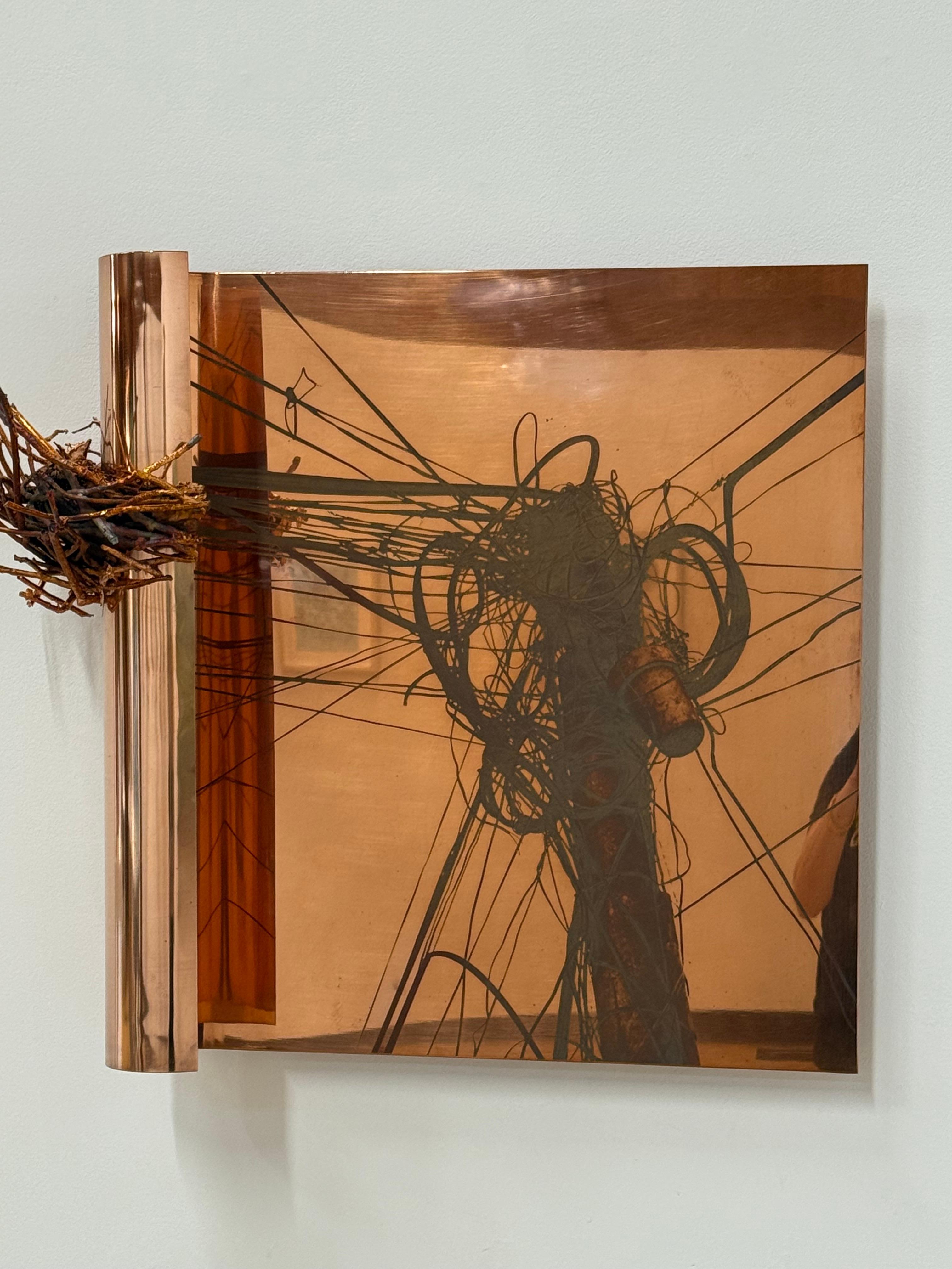 Entangled Life - Copper Wall Sculpture Power Lines Bird's Nest, 2025 For Sale 8