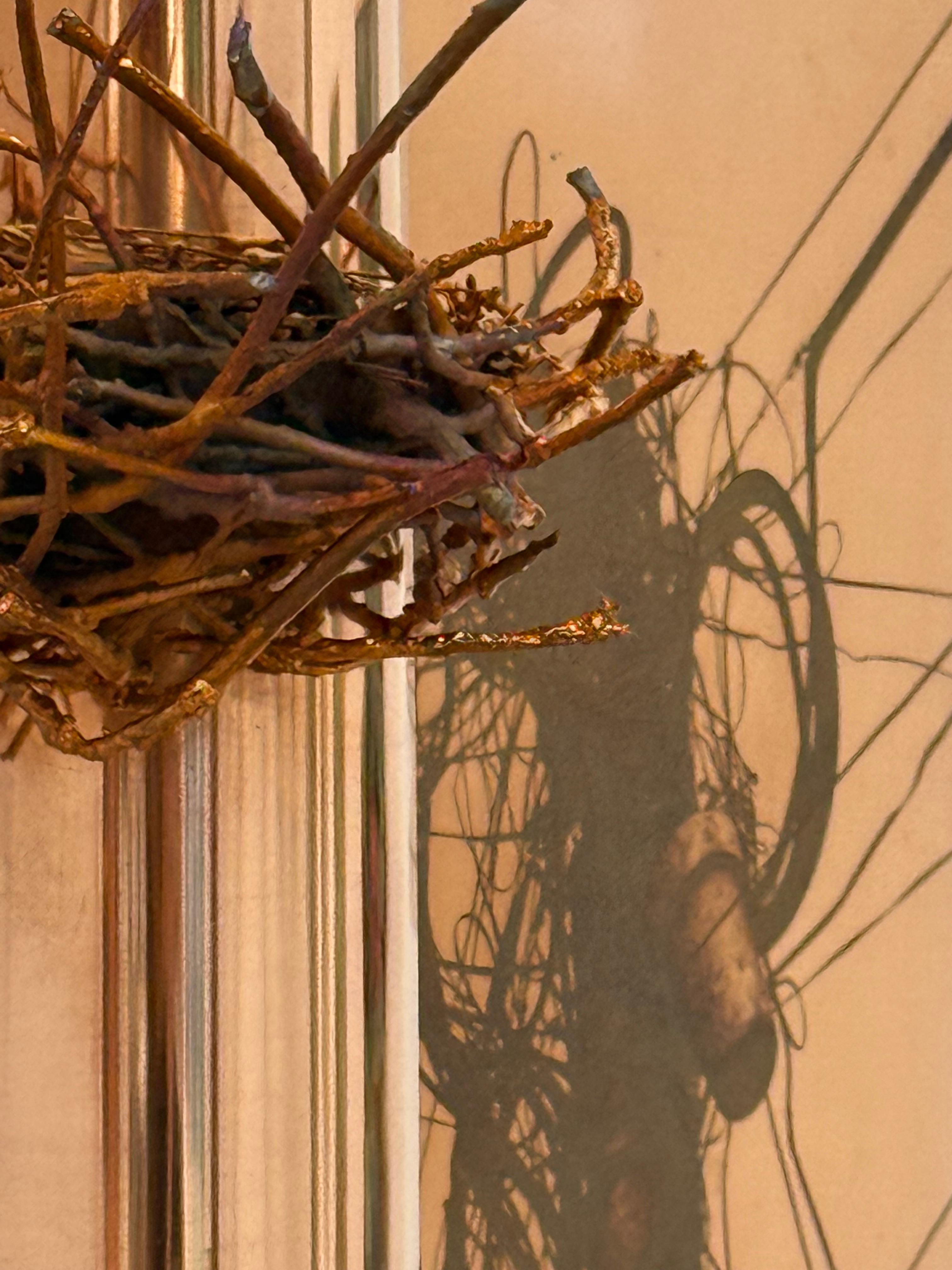 Entangled Life - Copper Wall Sculpture Power Lines Bird's Nest, 2025 For Sale 6