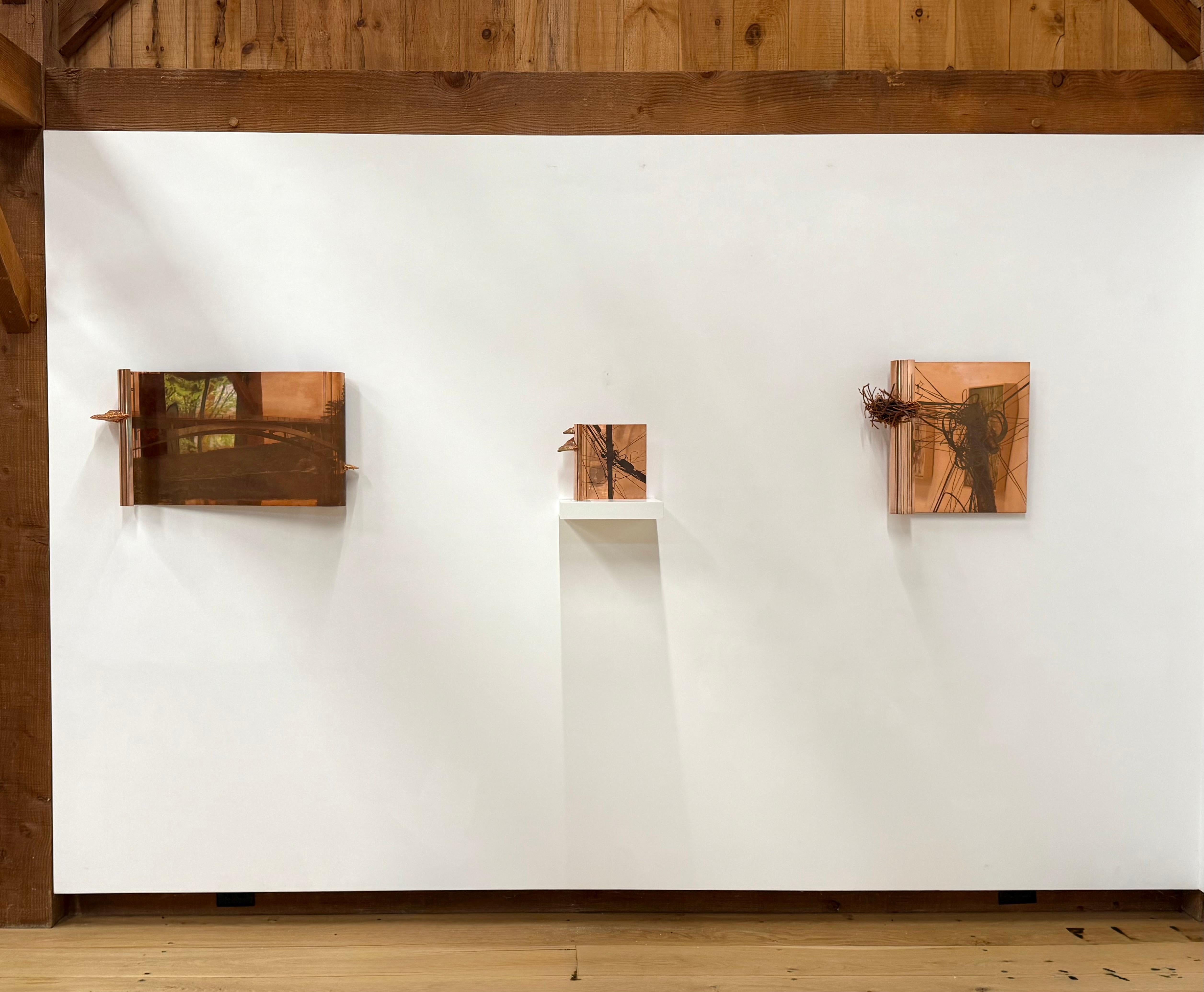 This wall-mounted sculpture combines photoengraved copper and copper electroplated Cracked Cap Polypore (Phillinus robiniae) fungi. The photoengraved copper shows an image of power lines and the electroplated mushrooms line the left side of the
