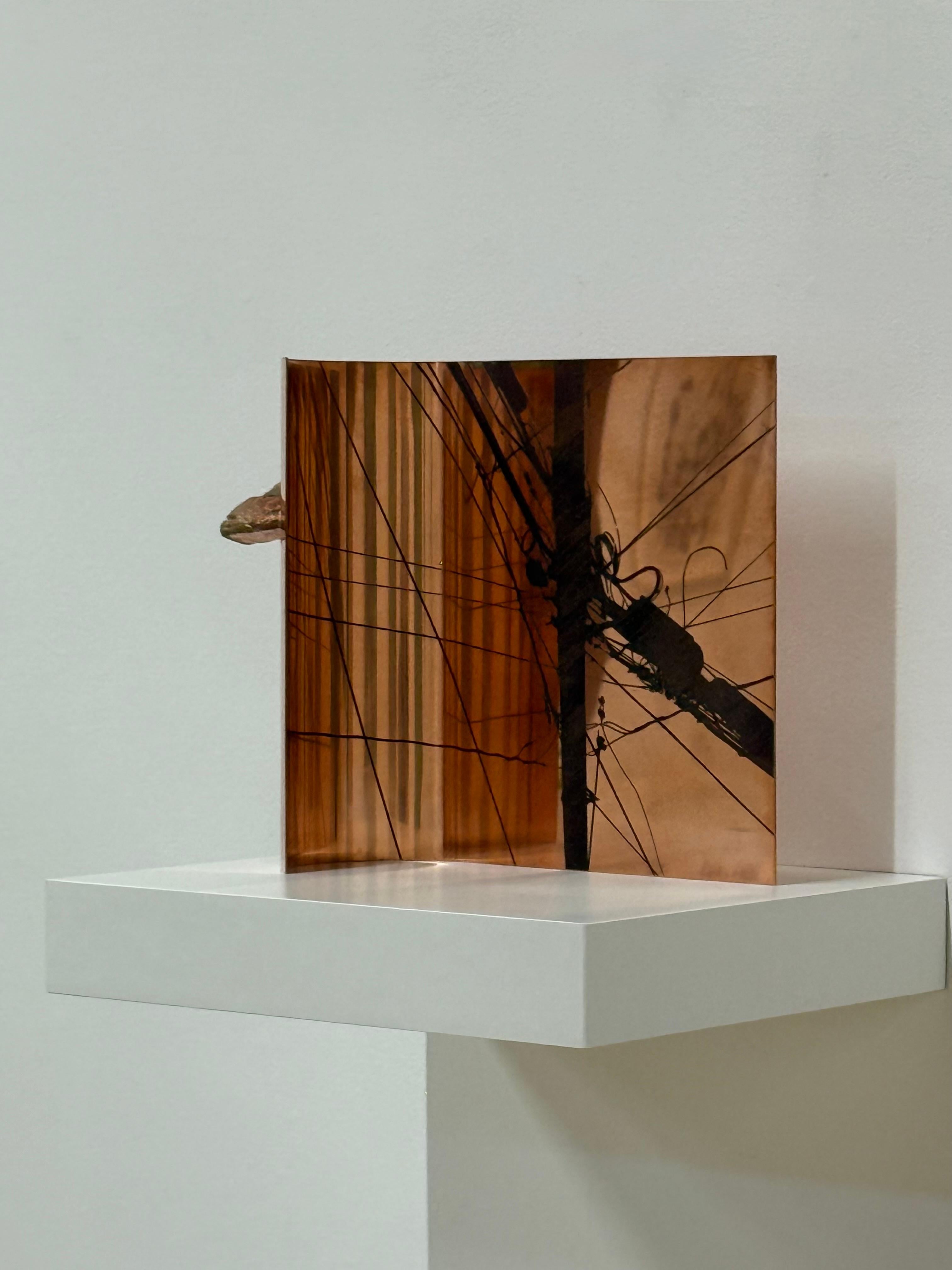 Networks II - Copper Wall Sculpture Power Lines Mushrooms Metal Fungi, 2025 For Sale 6