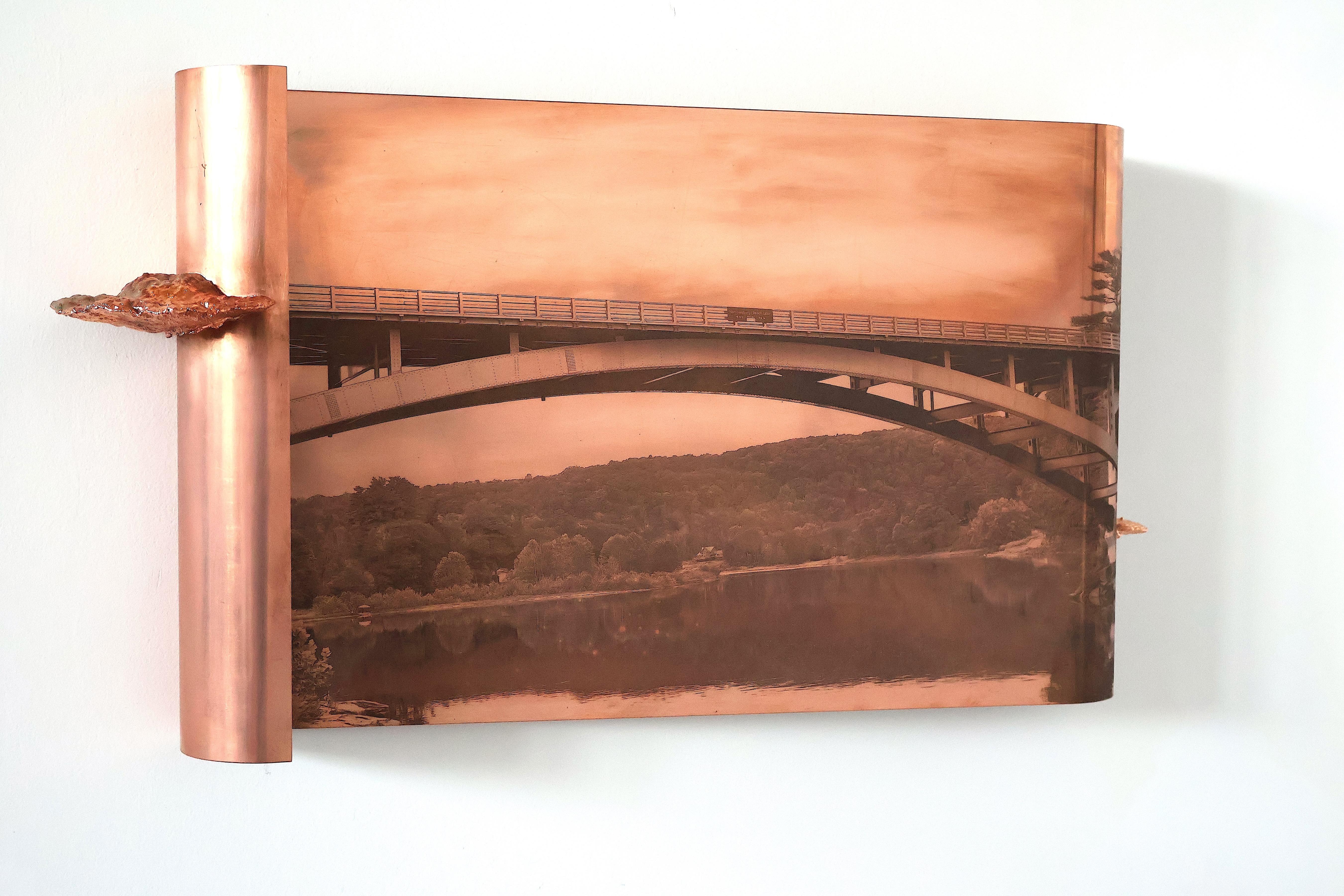 Richard Klein Abstract Sculpture - The River - Copper Wall Sculpture Bridge Landscape Mushrooms Metal Fungi, 2024