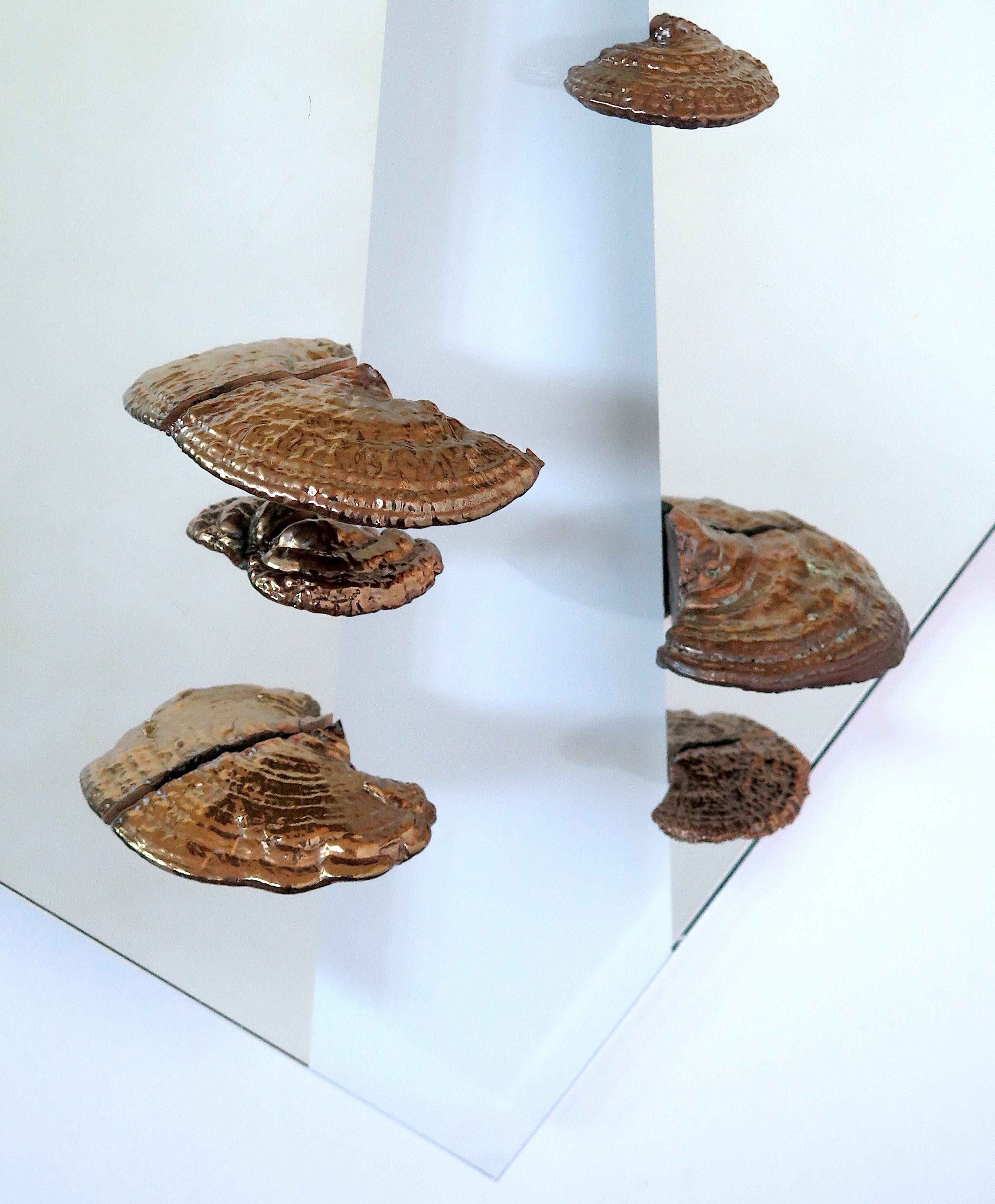 Contemporary, reflective wall-mounted sculpture with tempered plate glass mirrored with white gold leaf and copper electroplated Hemlock Varnish Shelf (Ganoderma tsugae) fungi on aluminum support.

Richard Klein has been copper plating organic