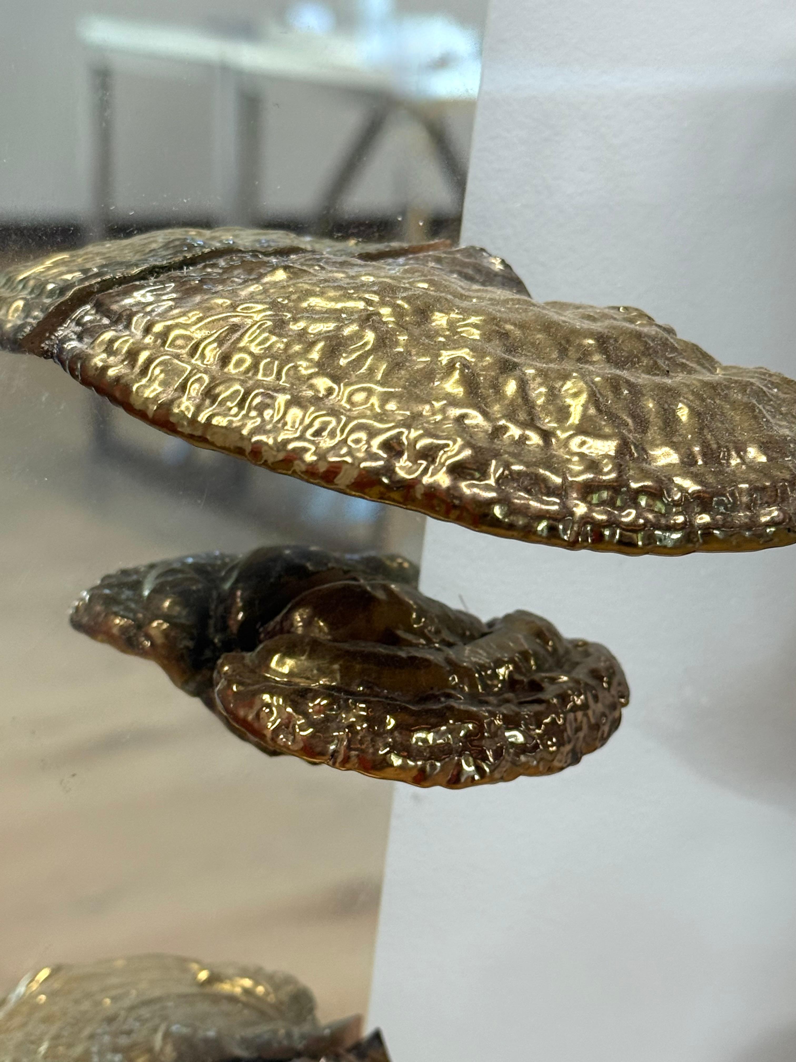 Zeitgenössische, spiegelnde Wandskulptur aus gehärtetem Glas, gespiegelt mit weißem Blattgold und mit Kupfer galvanisierten Hemlock Varnish Shelf (Ganoderma tsugae) Pilzen auf einem Aluminiumträger.

Richard Klein verkupfert seit über drei