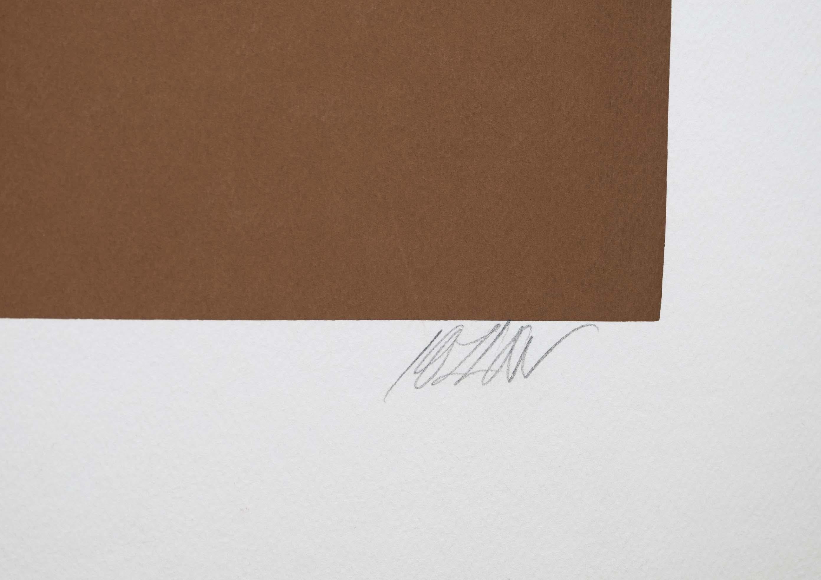 Richard Kozlow Rio Blanco Signierte Modernistische Serigraphie 55/100 Ungerahmt im Angebot 1