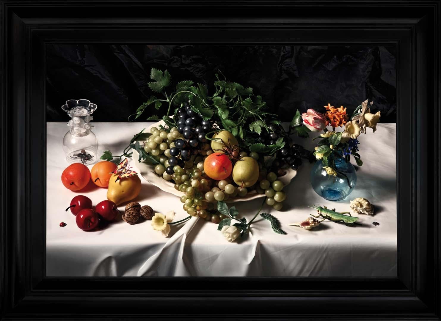 De Kers The Cherry Photograph on Dibond Framed Still Life in Plastic Series 