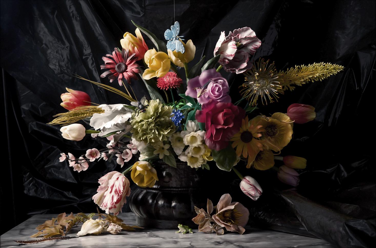 De Kikker: „Der Frosch“, Foto auf Dibond, gerahmtes Stillleben aus der Kunststoffserie Blumen – Photograph von Richard Kuiper