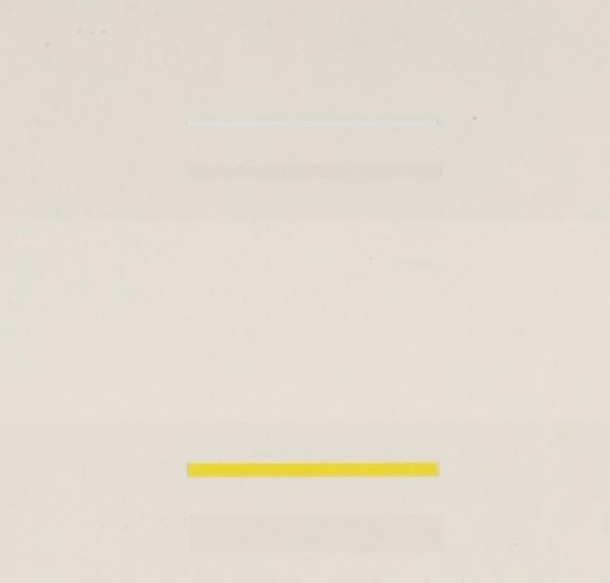 May 2 - 20th Century White Abstract Minimalist Screenprint by Richard Lin For Sale 2