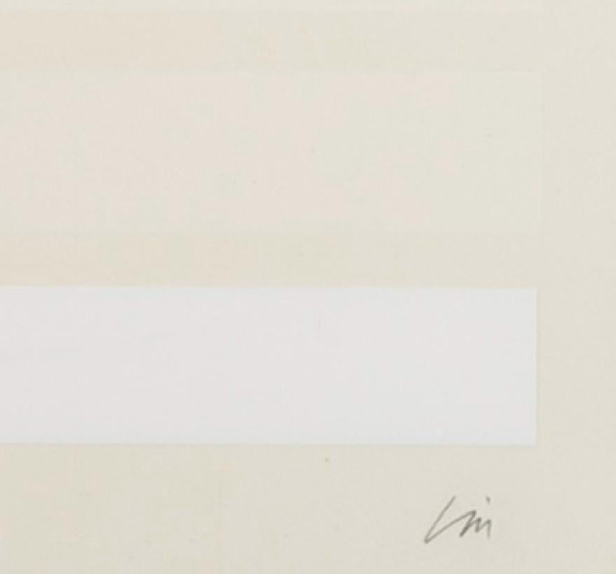 May I - 20th Century White Abstract Minimalist Print on Wove with Acetate For Sale 4