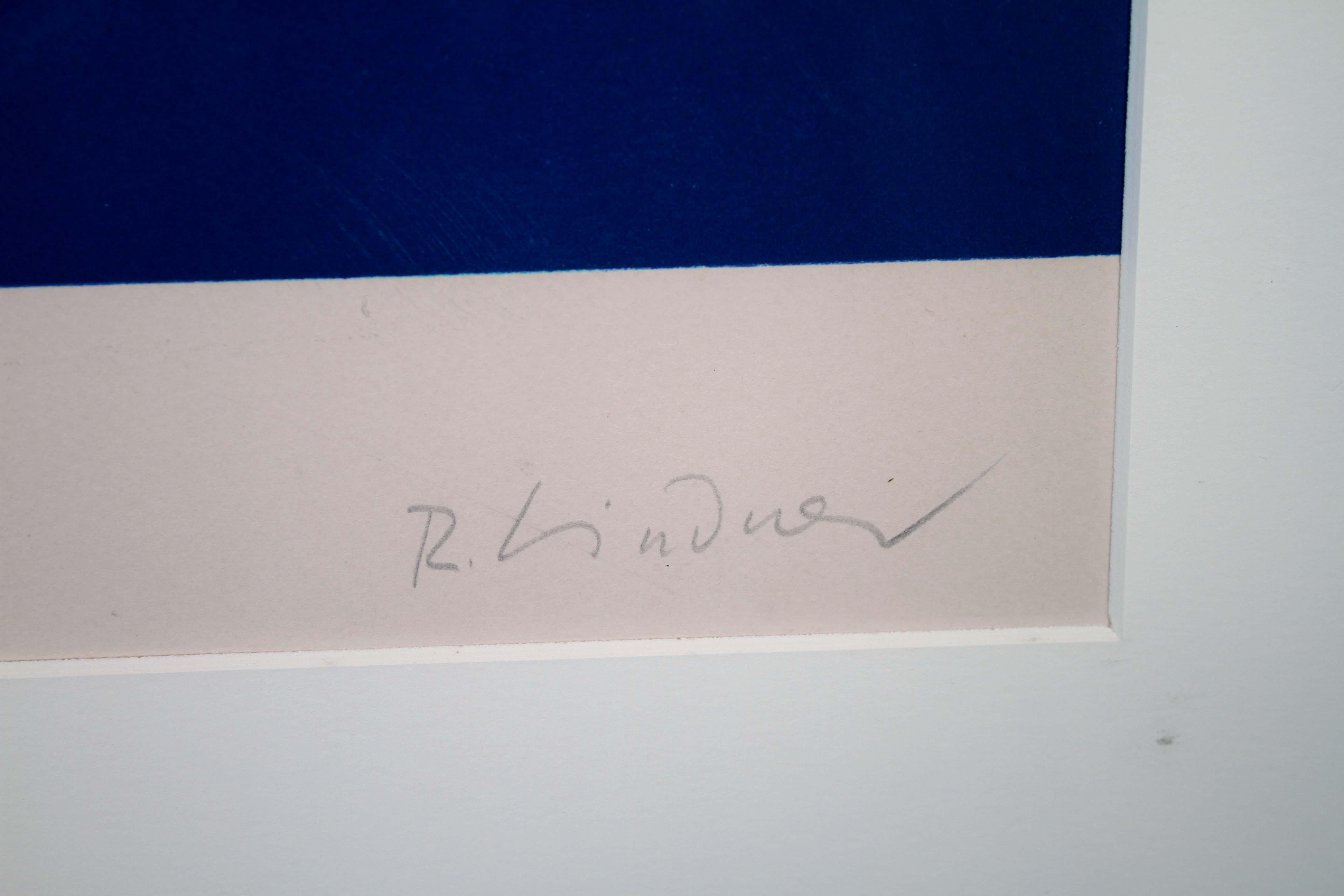 Richard Linder Girl with Hoop Signed Modern Cubist Lithograph 32/175 Framed 1971 For Sale 4