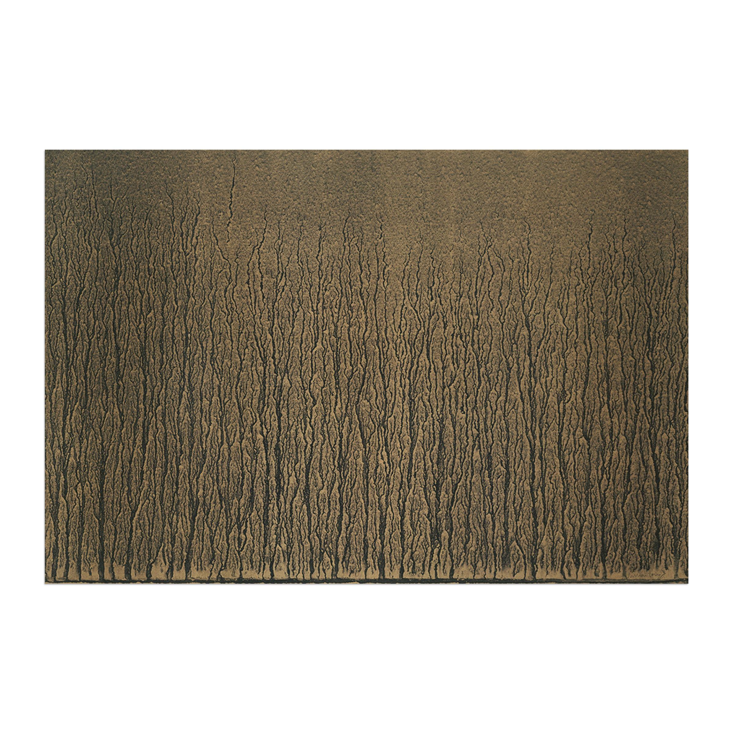 Richard Long, River Avon Mud Drawings (1989) - Signed Prints, British Artist For Sale 2