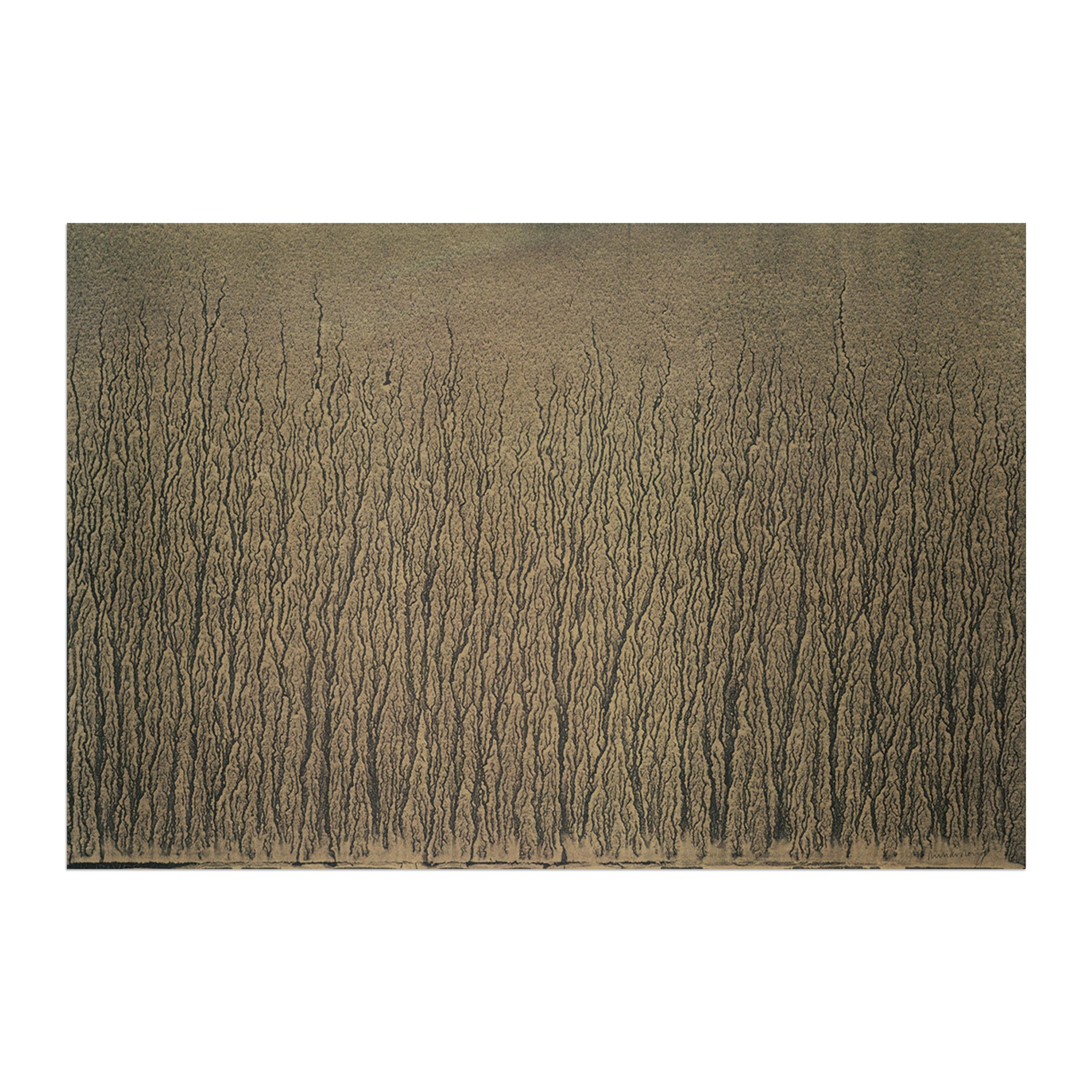 Richard Long, River Avon Mud Drawings (1989) - Signed Prints, British Artist For Sale 3