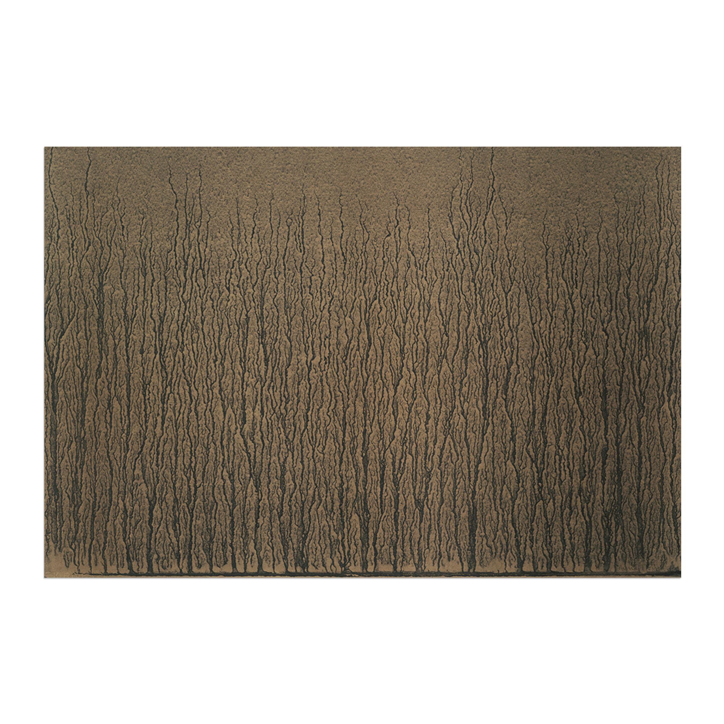 Richard Long, River Avon Mud Drawings (1989) - Signed Prints, British Artist For Sale 4