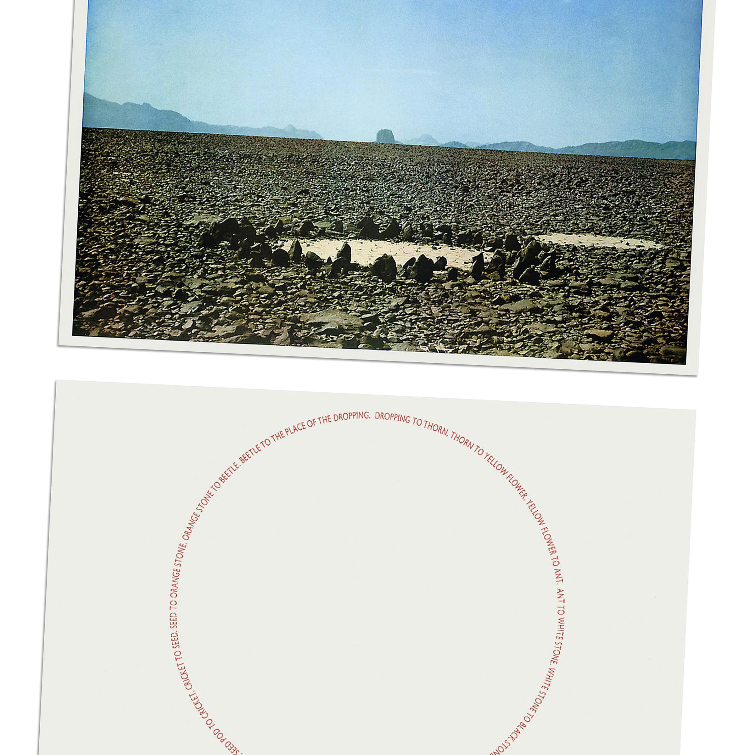 Richard Long, Dos obras del Sáhara - Conjunto de 1 litografía Grano y 1 serigrafía en venta 3