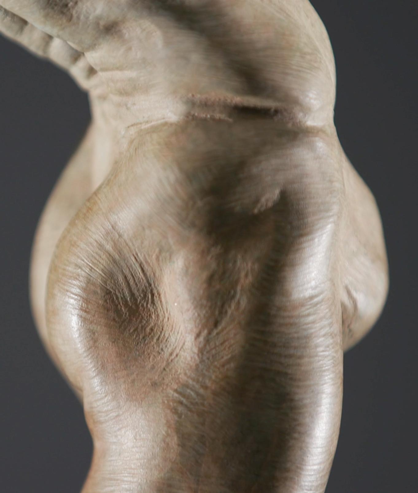 Nella sua opera intitolata Allongé - allungare o allungare - Richard MacDonald ha scolpito le linee potenti del ballerino maschio, accentuando la grazia del suo corpo. Lavorando con i Principals del Royal Ballet, le osservazioni di MacDonald si