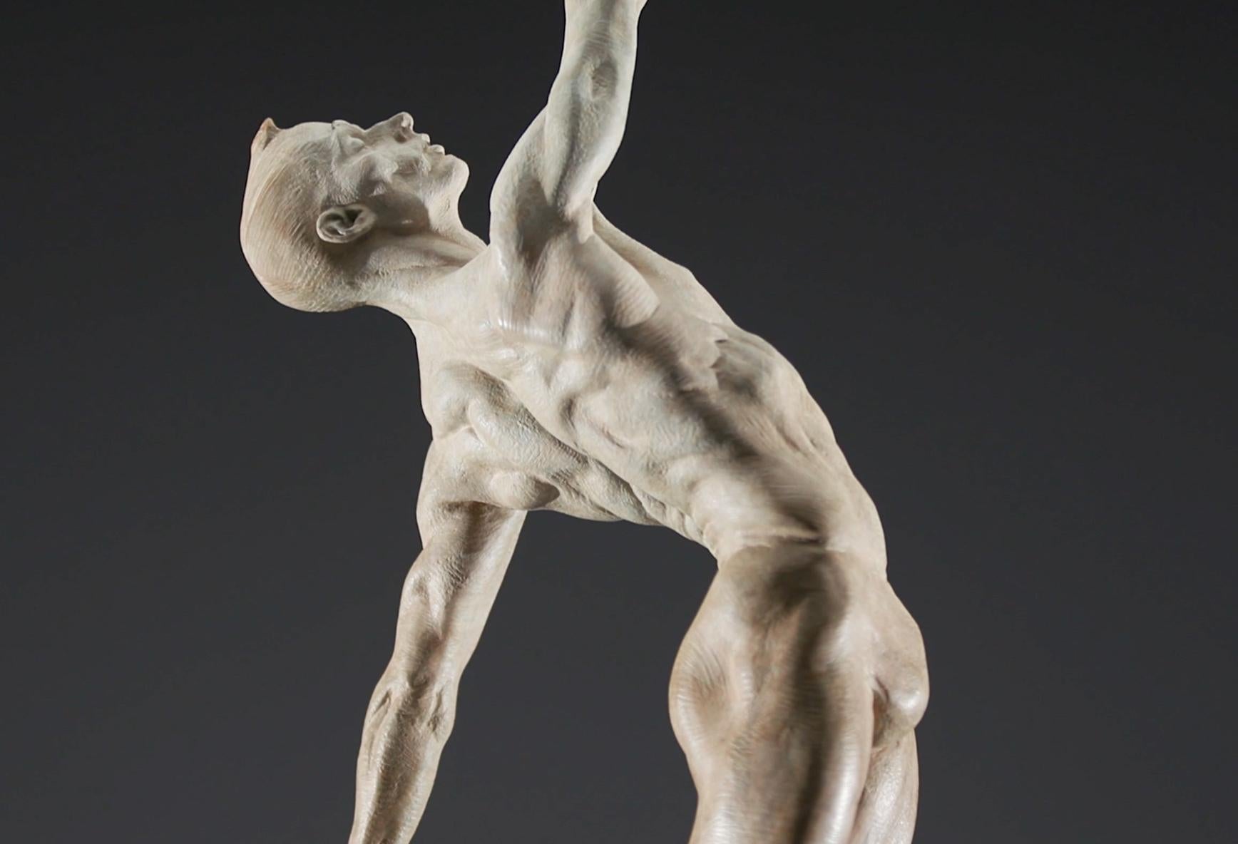 Allonge Male, Atelier A in vendita 1