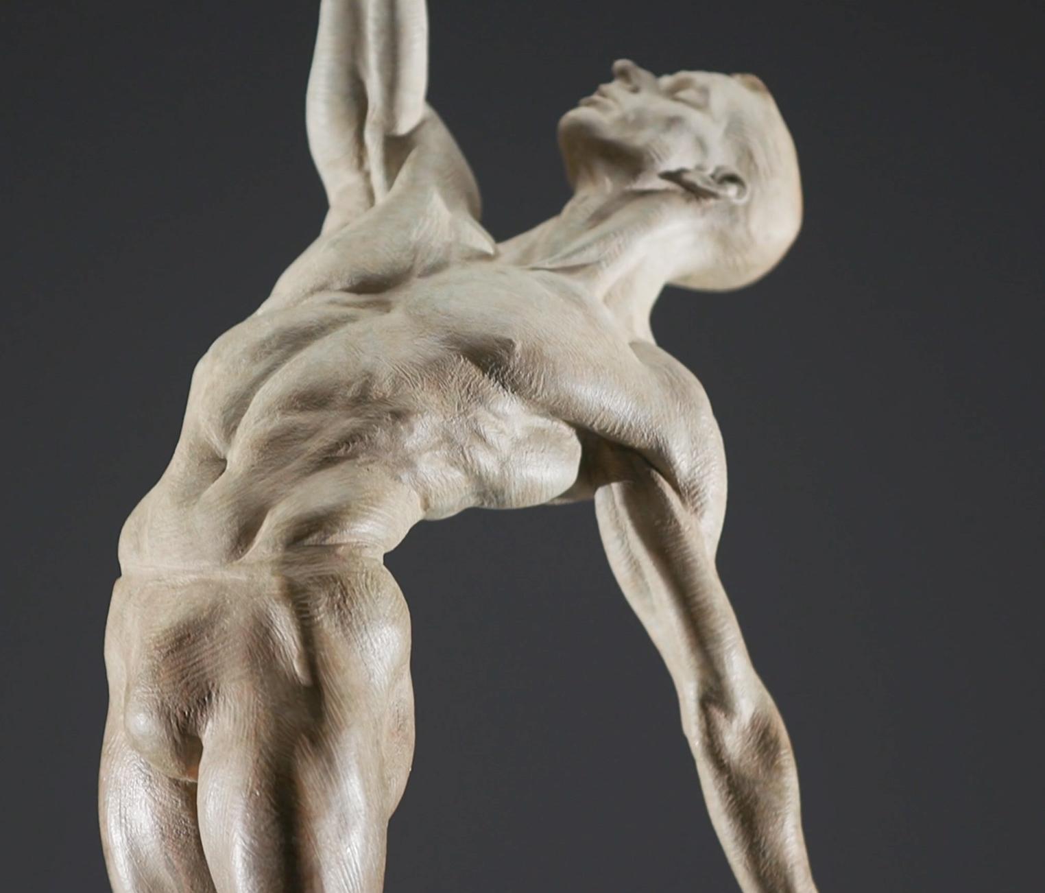 Allonge Male, Atelier A in vendita 2
