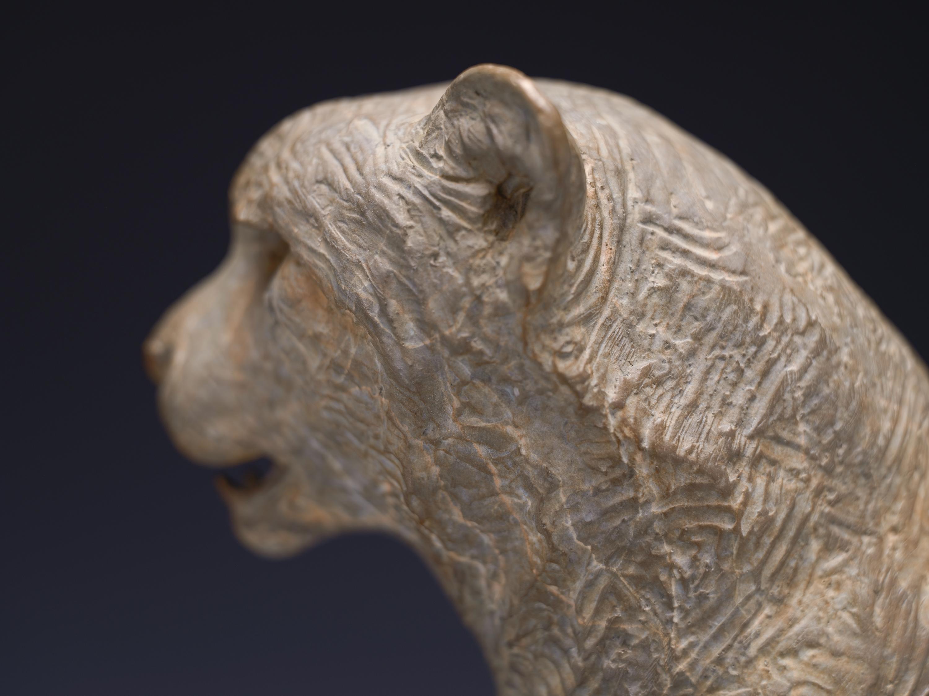 Cheetah Bust, Atelier For Sale 7
