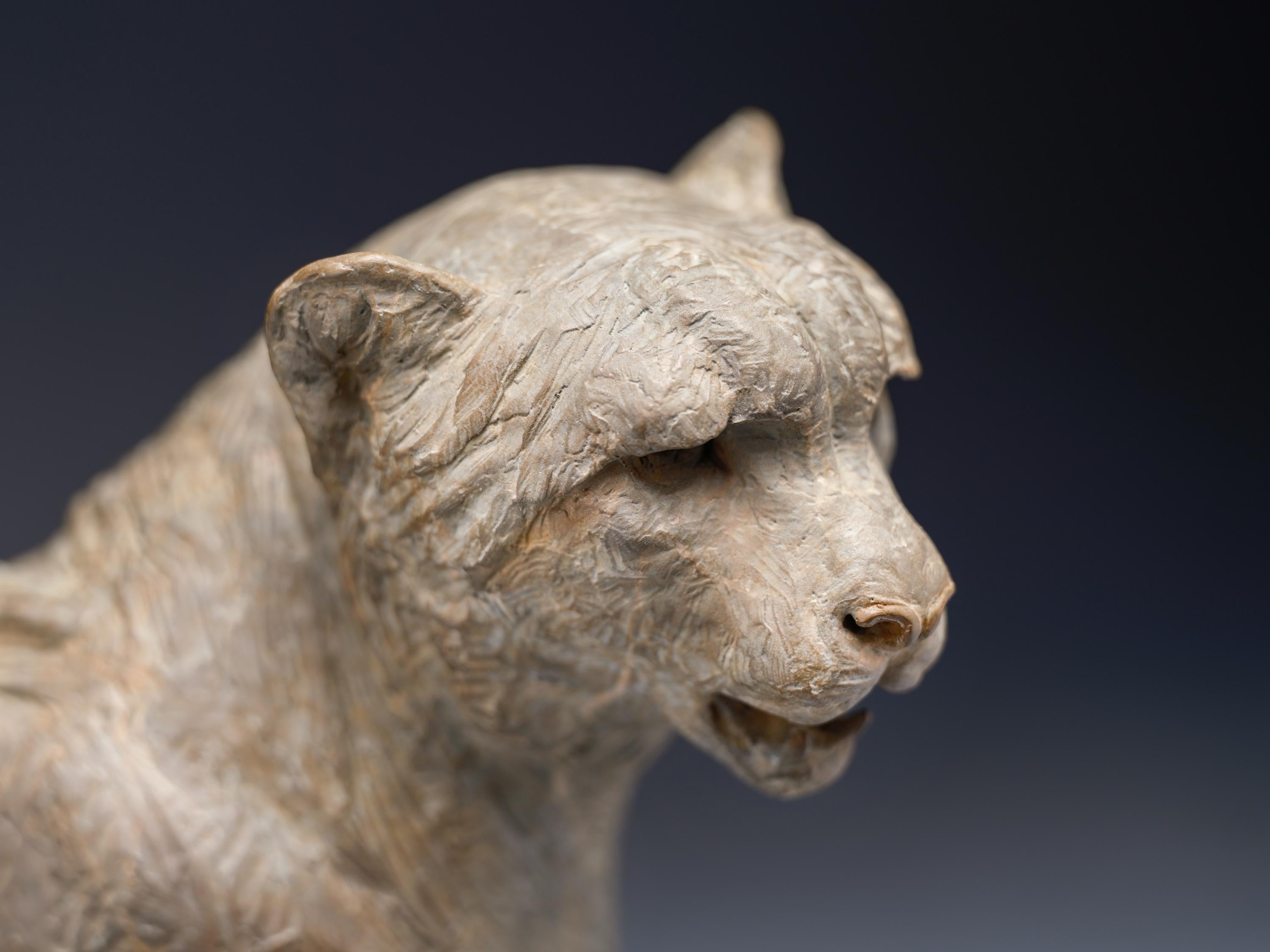 Cheetah Bust, Atelier For Sale 9