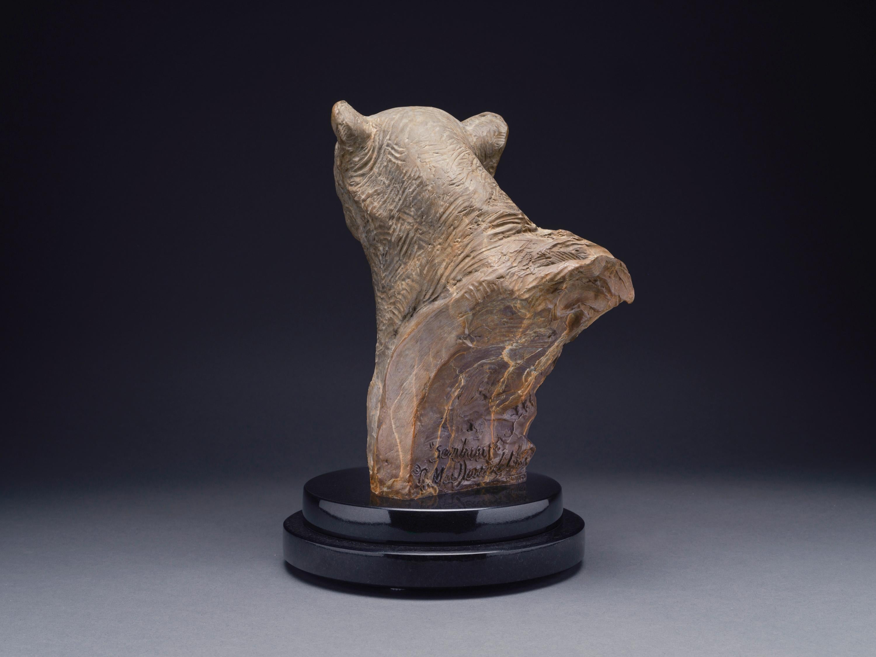 Richard MacDonald’s “Cheetah Bust, Atelier” reveals an intimate study of “Samburu”, the two and a half year old Nambian cheetah the artist used as the subject for his “Diana and the Coursing Cheetahs” series. While much art is created with purpose
