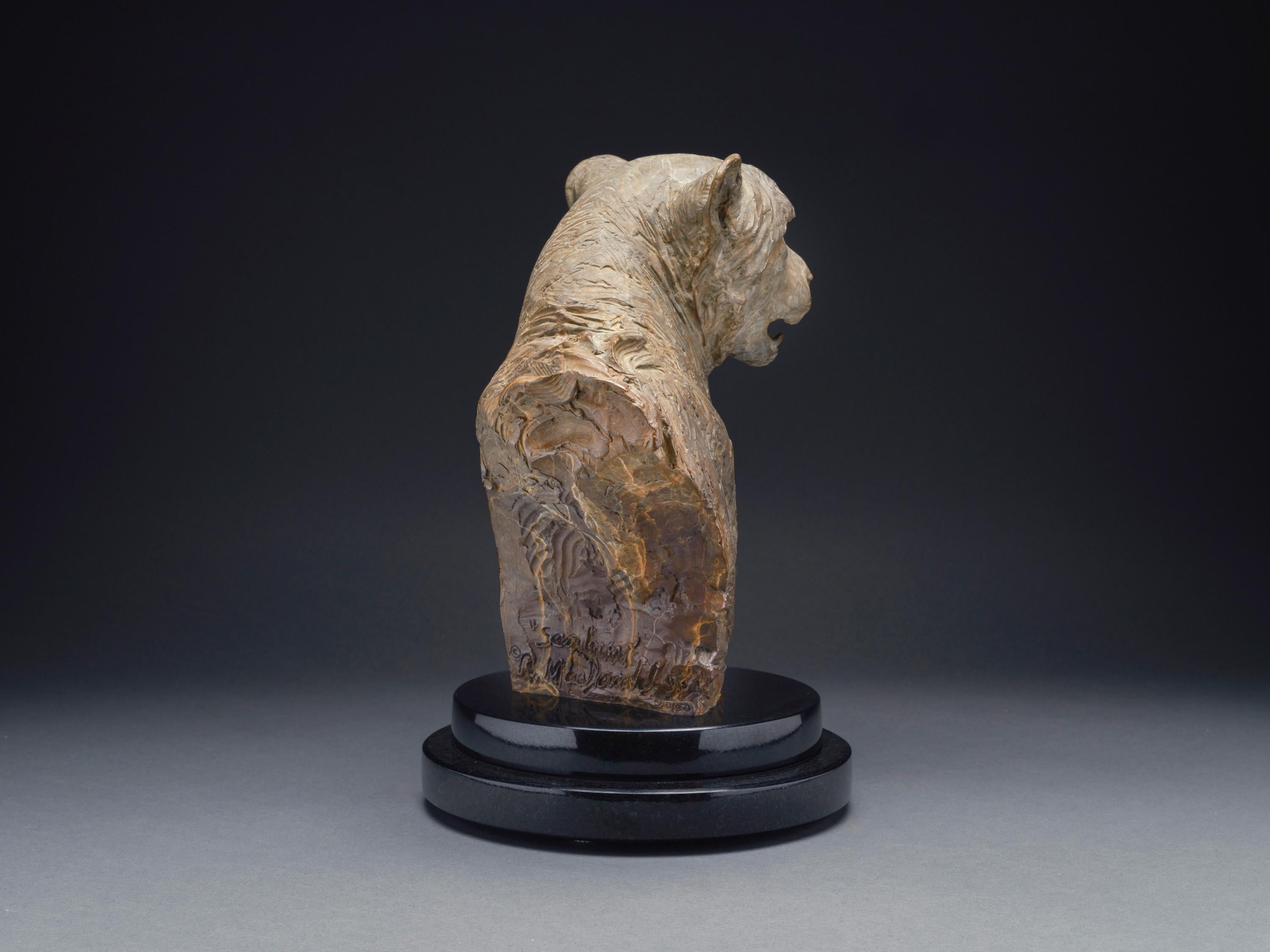 Cheetah Bust, Atelier For Sale 1