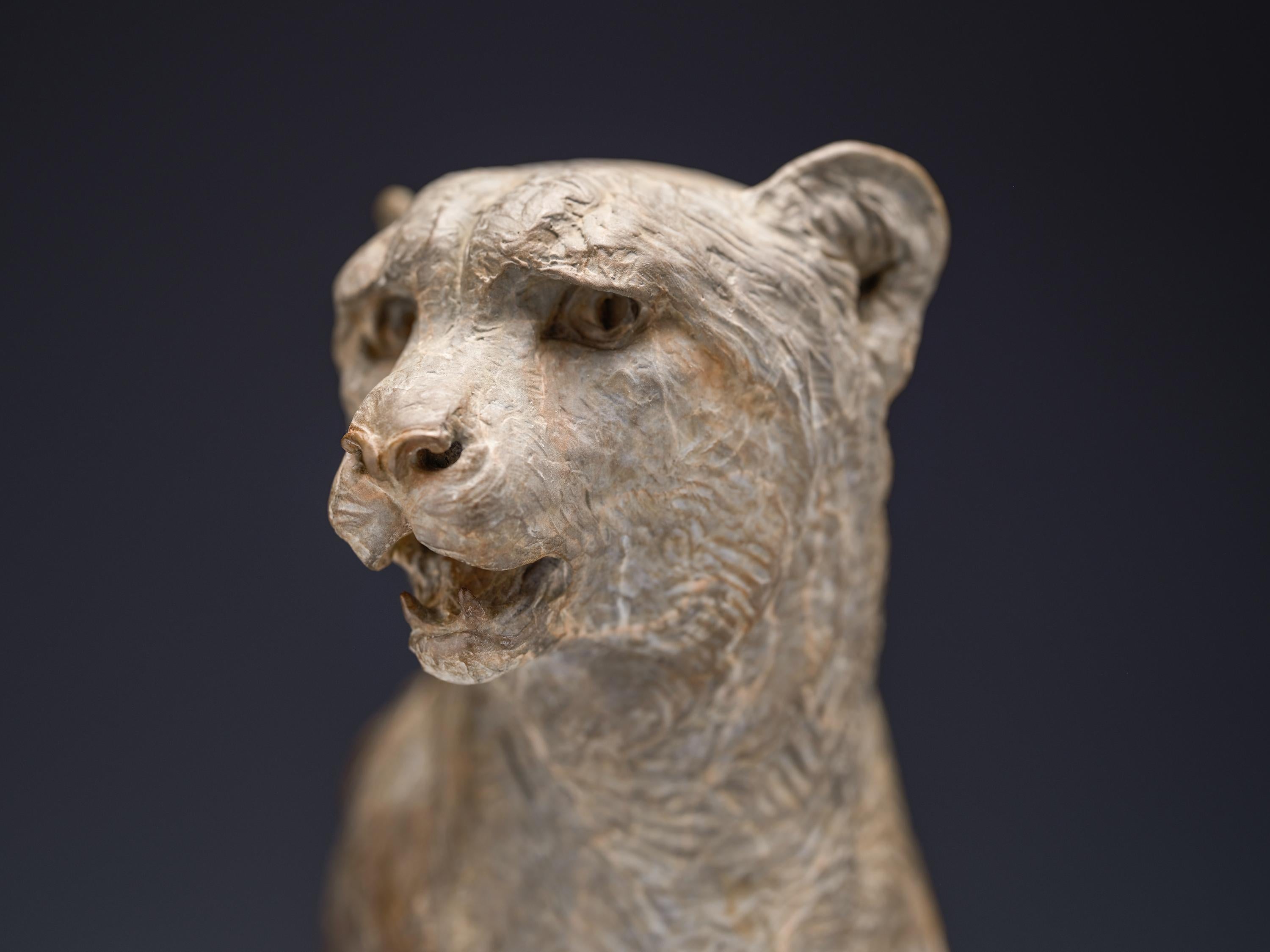 Cheetah Bust, Atelier For Sale 2