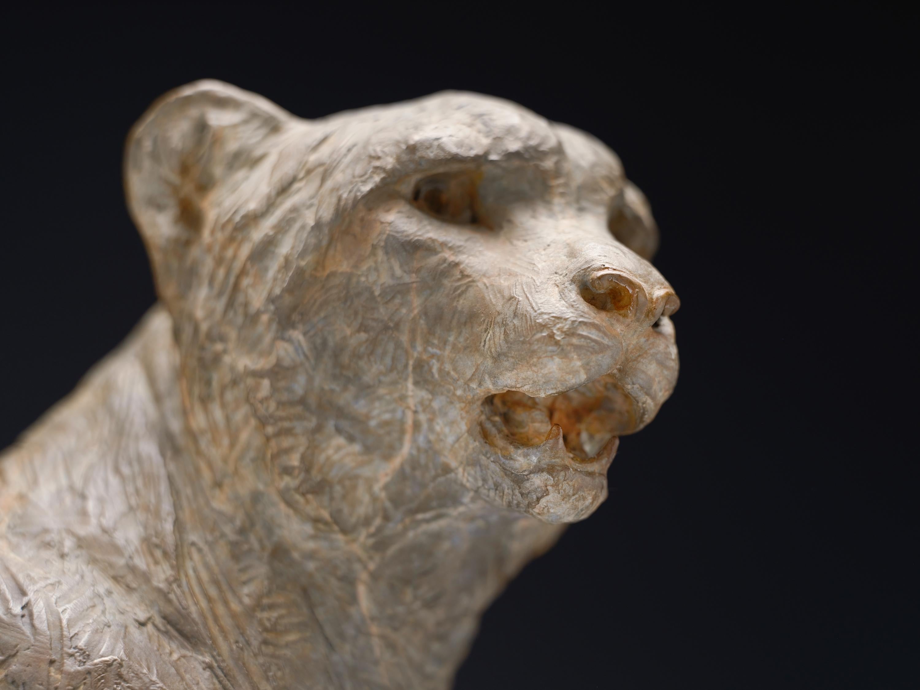 Cheetah Bust, Atelier For Sale 5