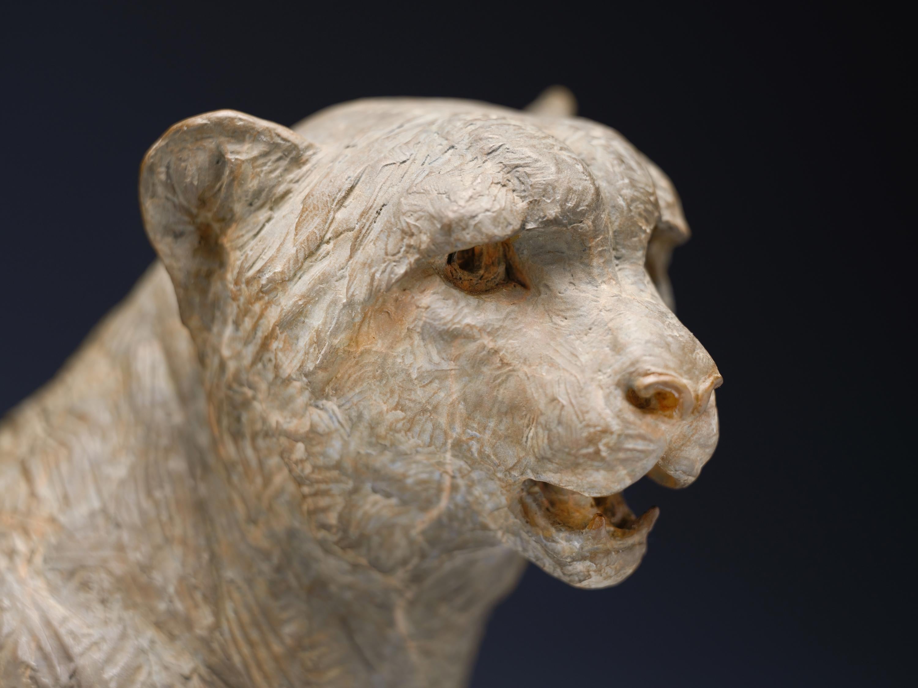 Cheetah Bust, Atelier For Sale 5