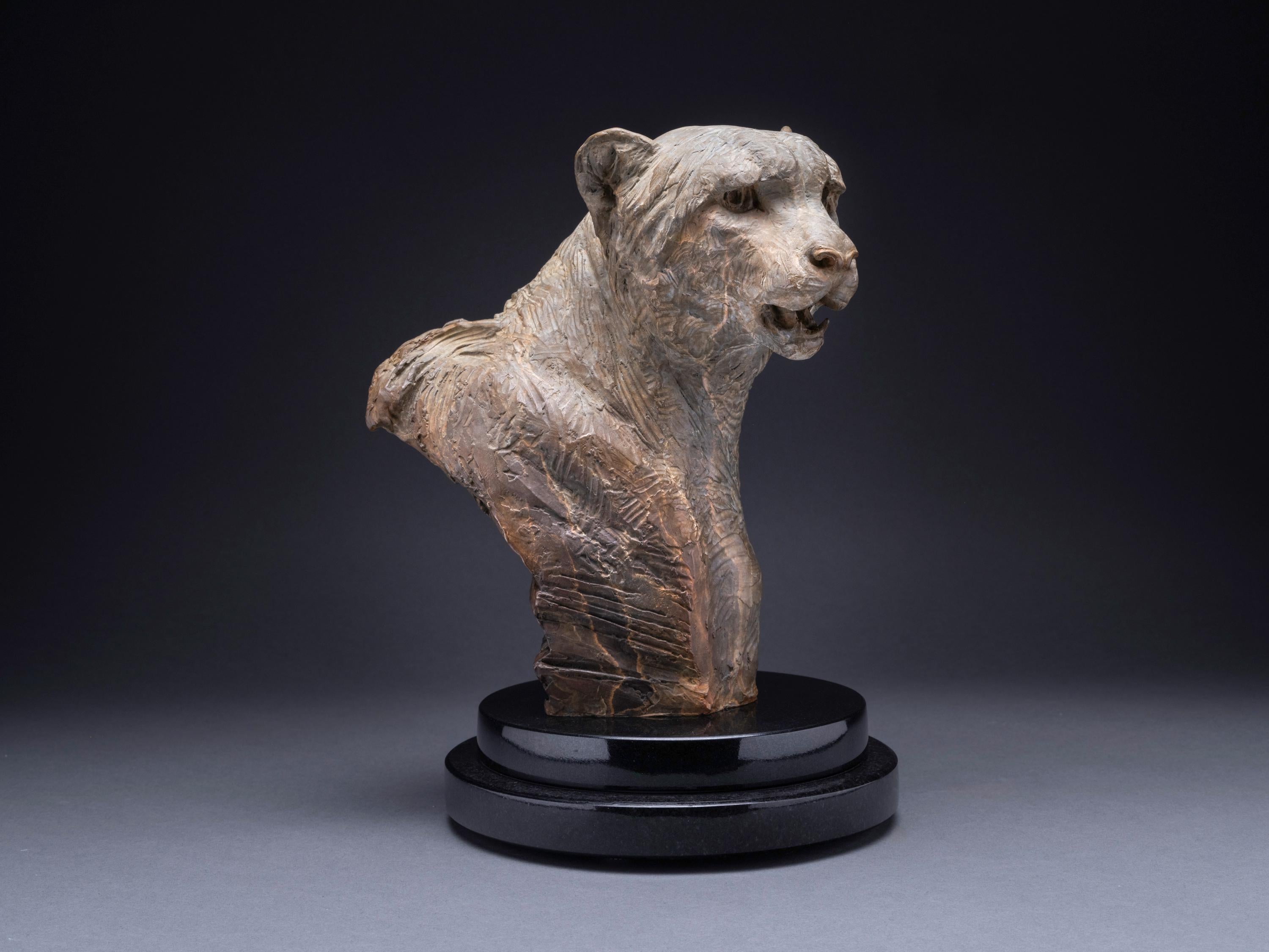 Richard MacDonald Figurative Sculpture - Cheetah Bust, Atelier