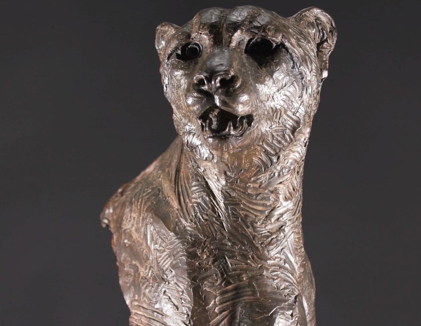 Richard MacDonald’s “Cheetah, Bust” reveals an intimate study of “Samburu”, the two and a half year old Nambian cheetah the artist used as the subject for his “Diana and the Coursing Cheetahs” series. While much art is created with purpose and