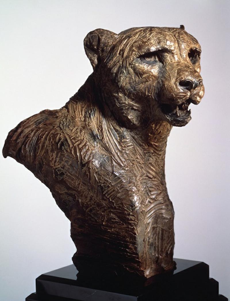 Richard MacDonald Figurative Sculpture - Cheetah Bust, Life Size
