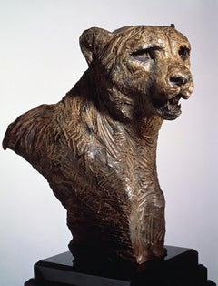 Cheetah Bust, Life Size