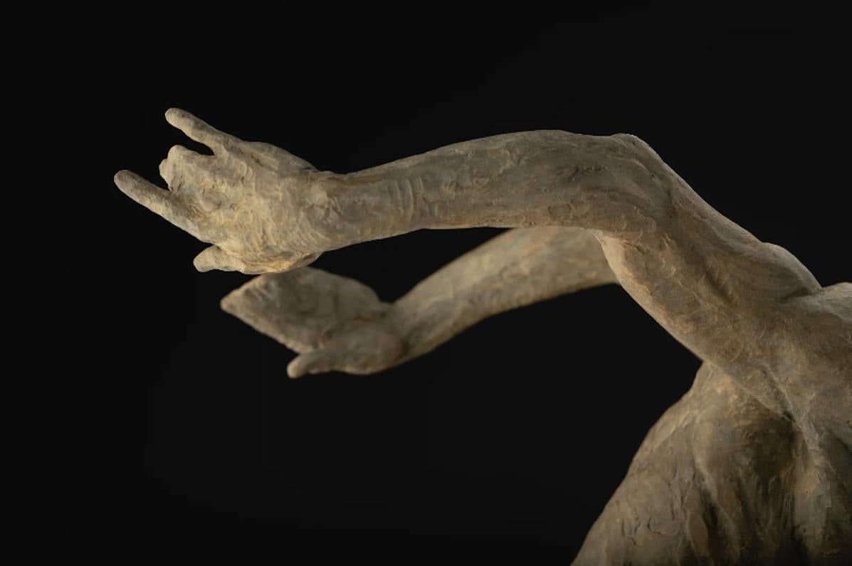 Après avoir consacré plus de vingt ans à la perfection de la forme humaine en bronze, Richard MacDonald s'est concentré sur une série de sculptures basées sur son travail avec les danseurs du Royal Ballet. Ces études ont été conçues pour servir de
