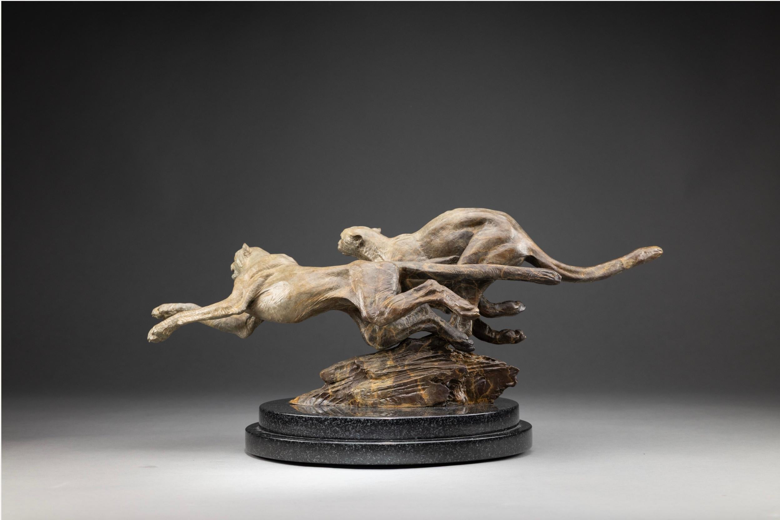Persecución de guepardos, Atelier A en venta 1