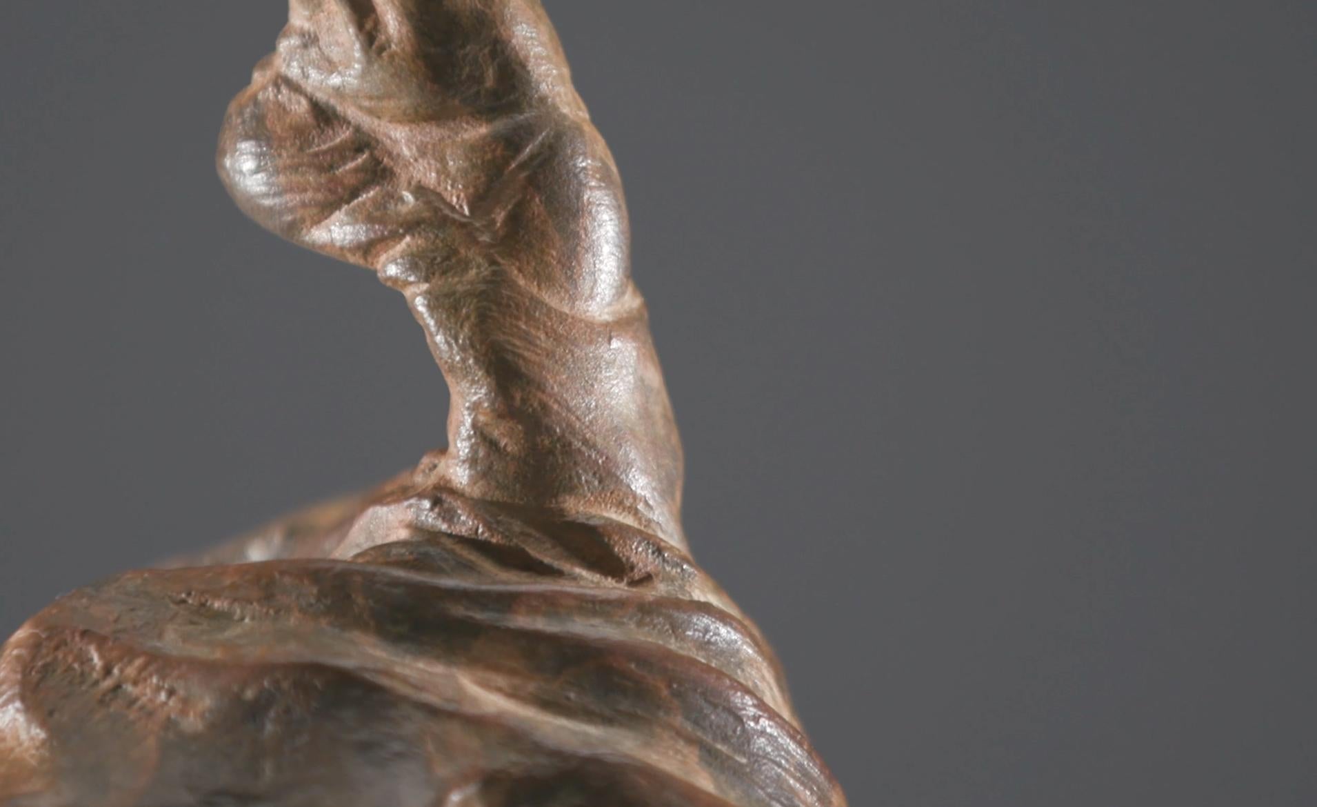 Danza il sogno, Atelier A - Sculpture Contemporaneo di Richard MacDonald