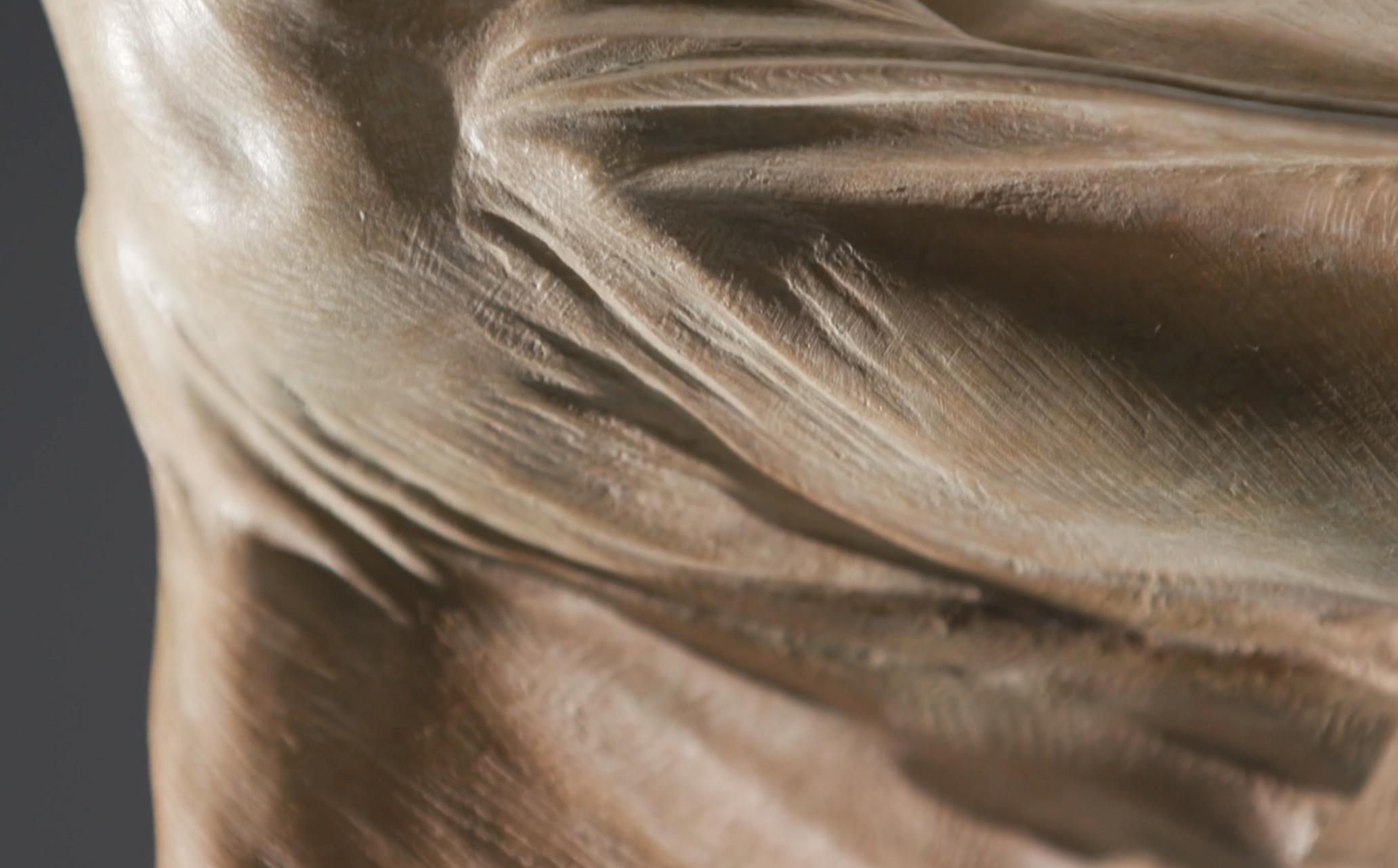 Dance the Dream trasmette un senso di eterna primavera.  Questa giovane ballerina ha già acquisito lo smalto e la raffinatezza di una ballerina professionista, ma conserva la tenerezza della giovinezza. La gioiosa spontaneità del suo amore istintivo