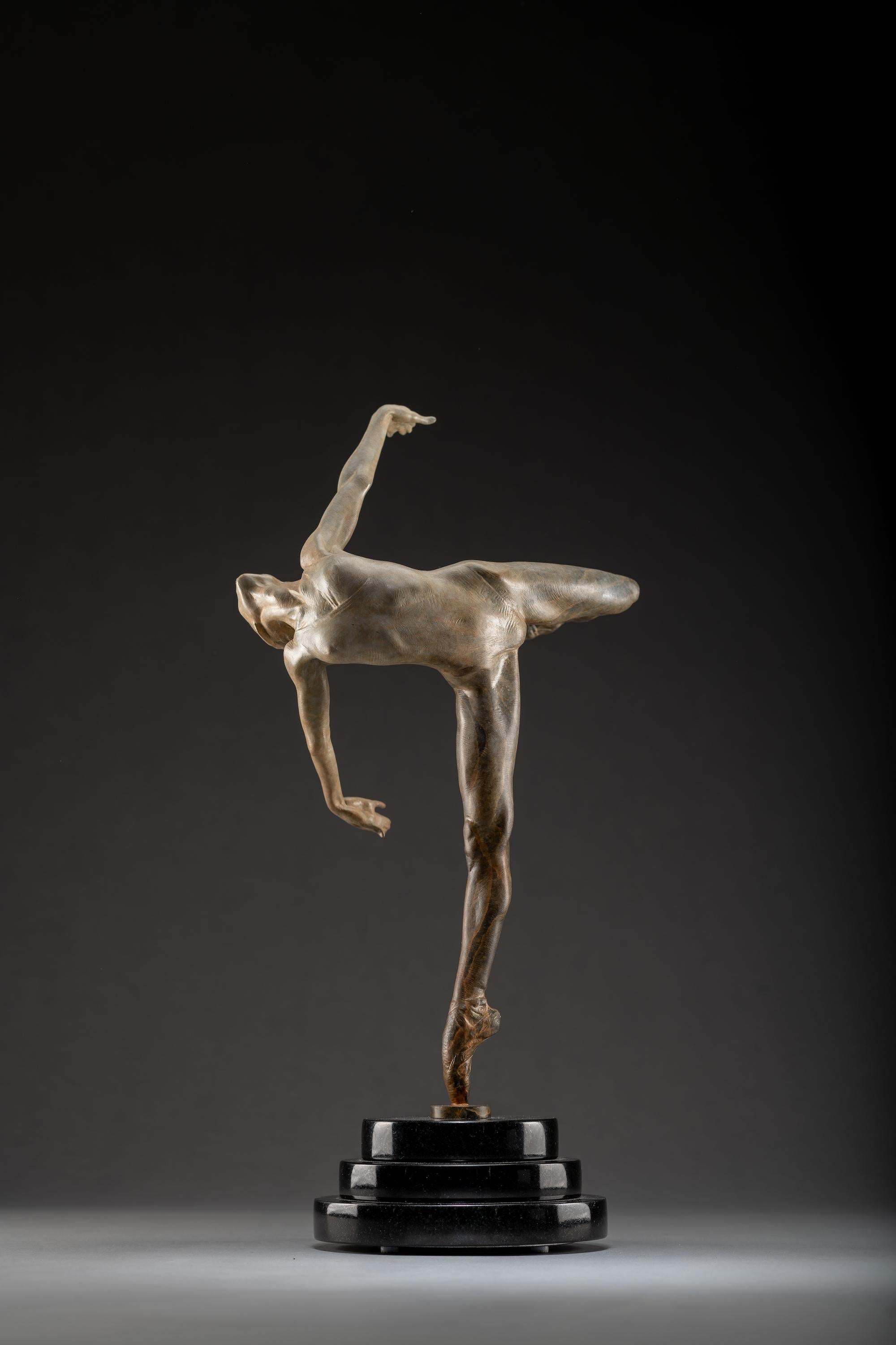 Flight in Attitude, Atelier For Sale 1