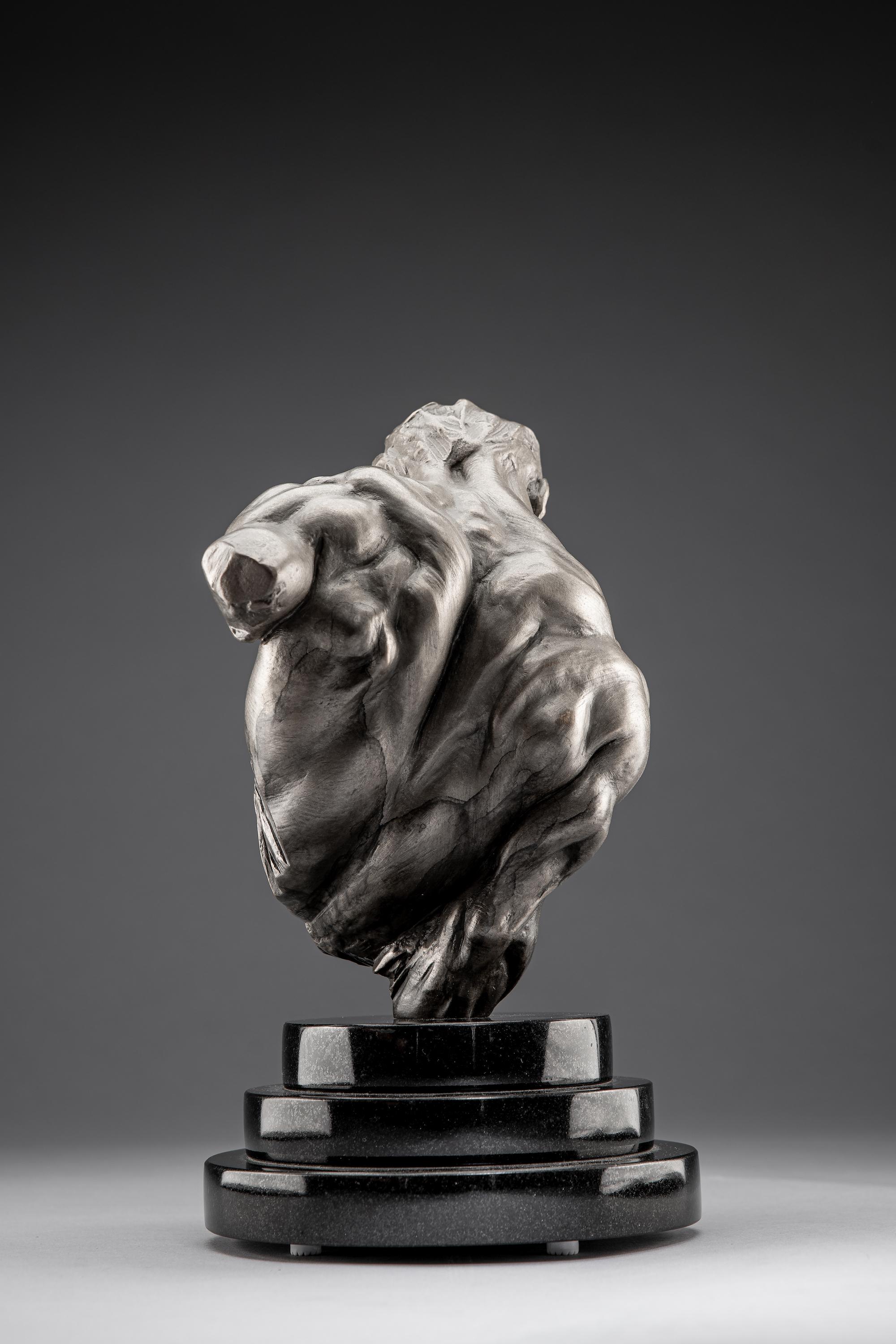 Gymnast Bust, Platinum For Sale 4