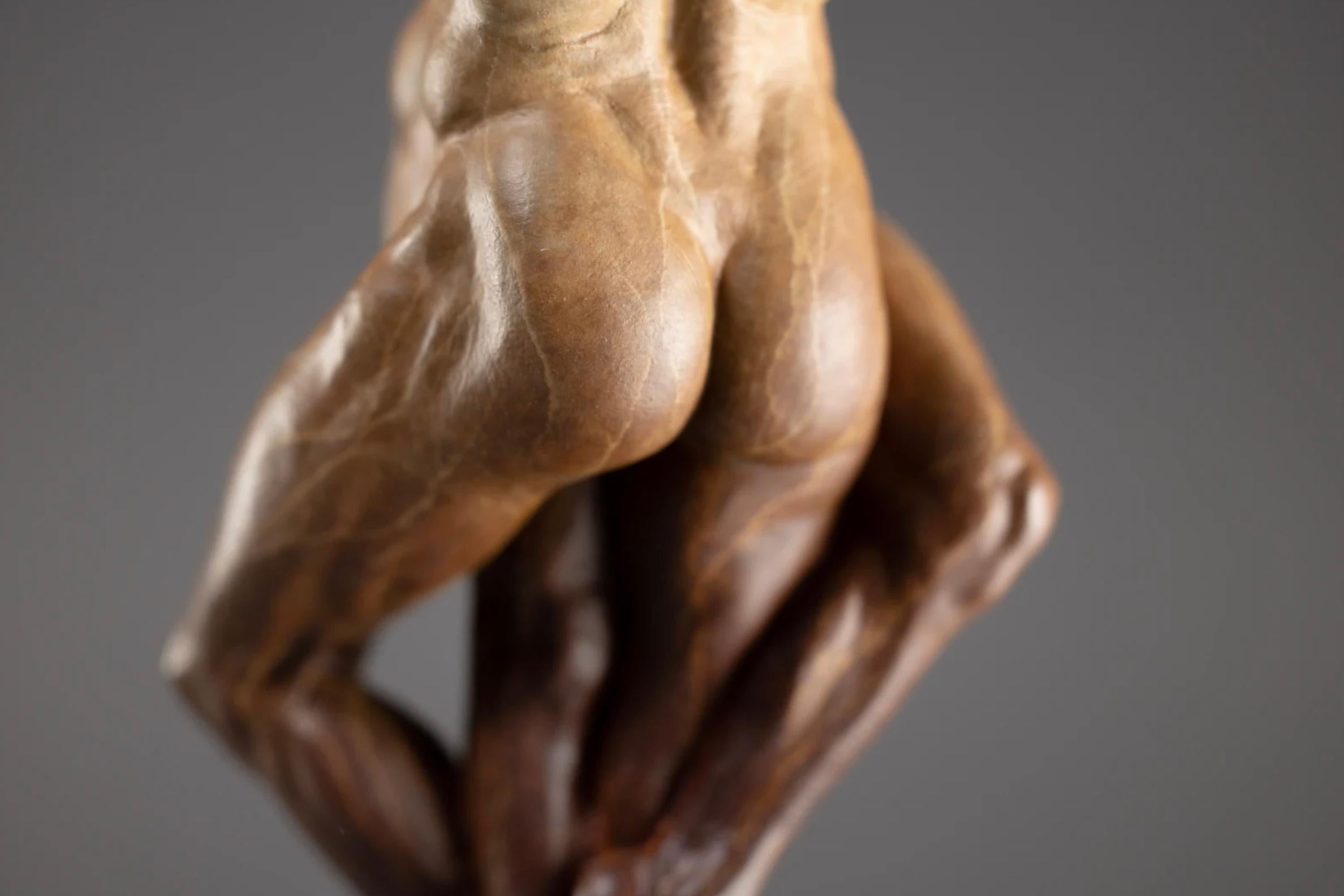 Origini, Atelier A - Sculpture Contemporaneo di Richard MacDonald