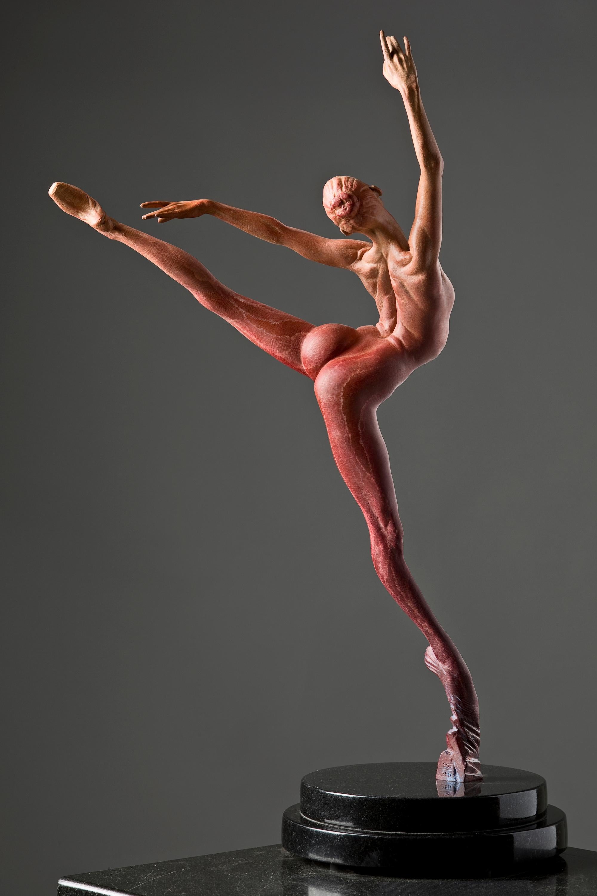 Sissone, Atelier, Red For Sale 3
