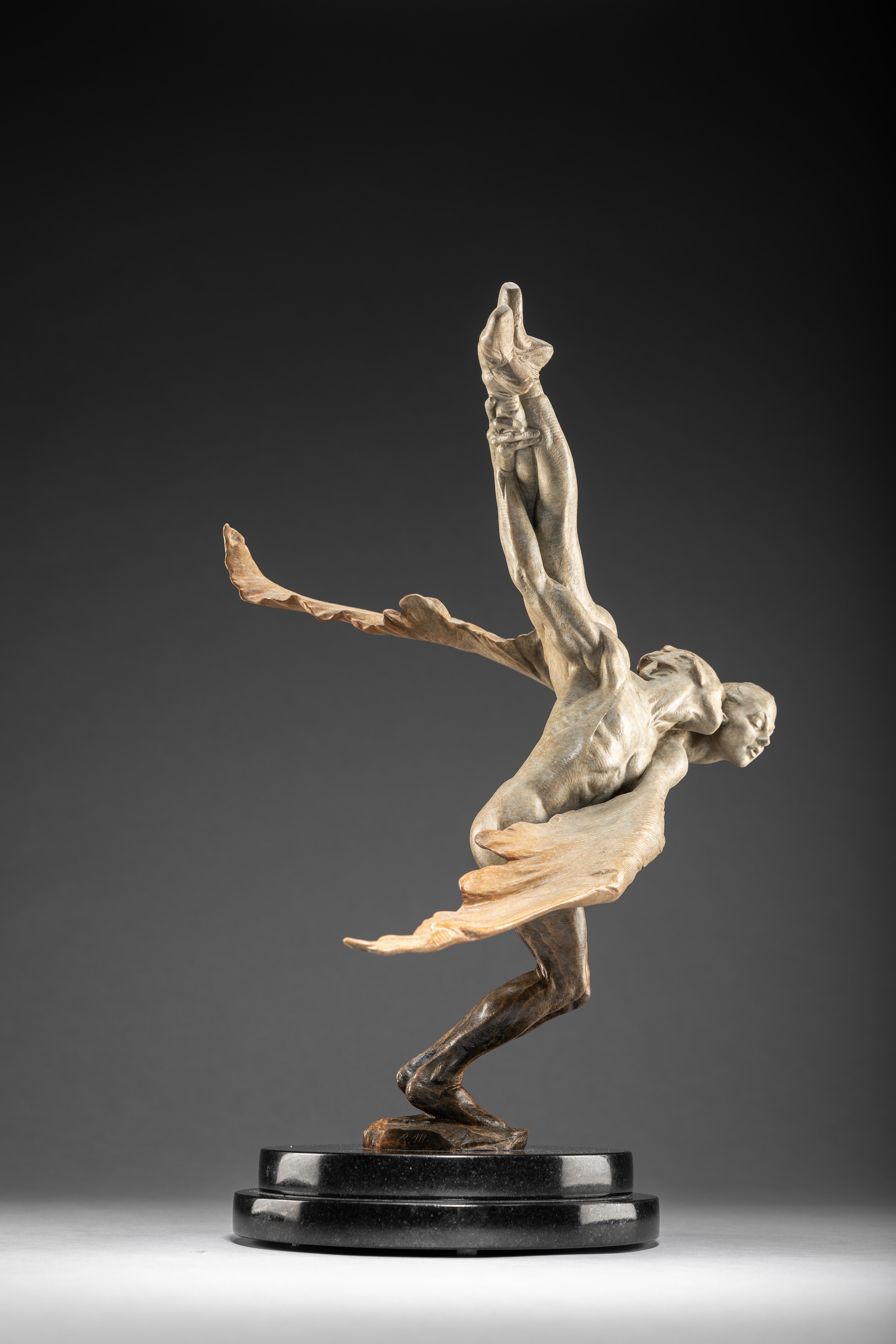 Richard MacDonald è sempre stato incuriosito dagli opposti e ha la capacità di creare sculture di femminilità delicata e archetipica e di mascolinità potente e atletica. Nelle colombe vediamo la combinazione di entrambi: la morbidezza e la